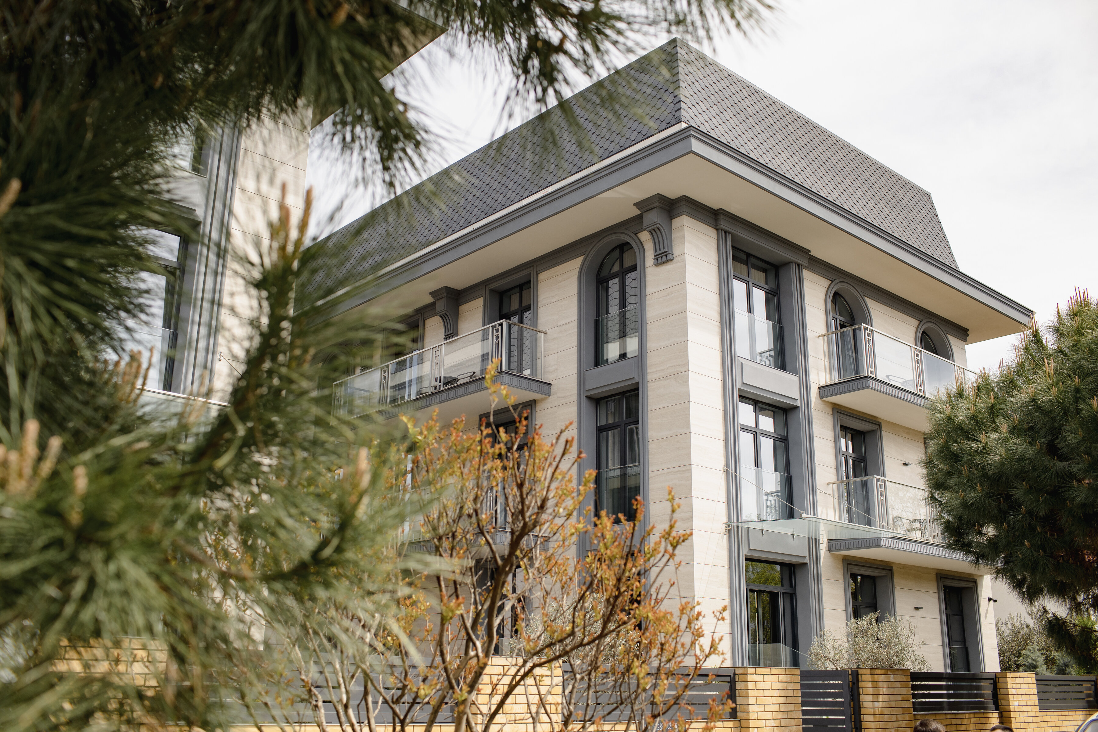 Фото Две оливы