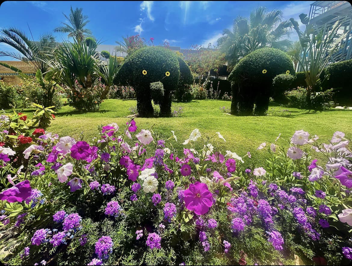 Фото Seagull Beach Resort