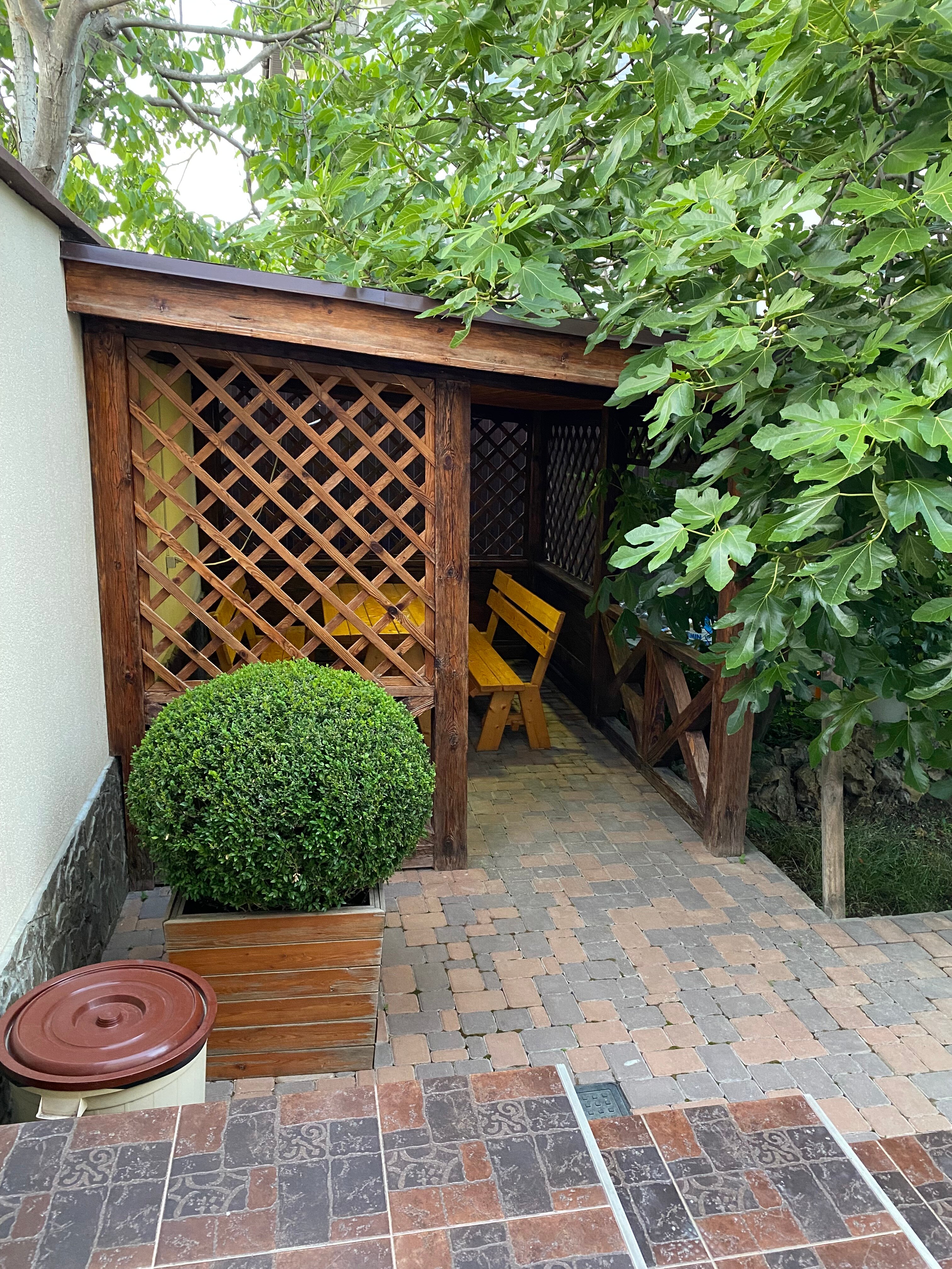 Фото Олимпия