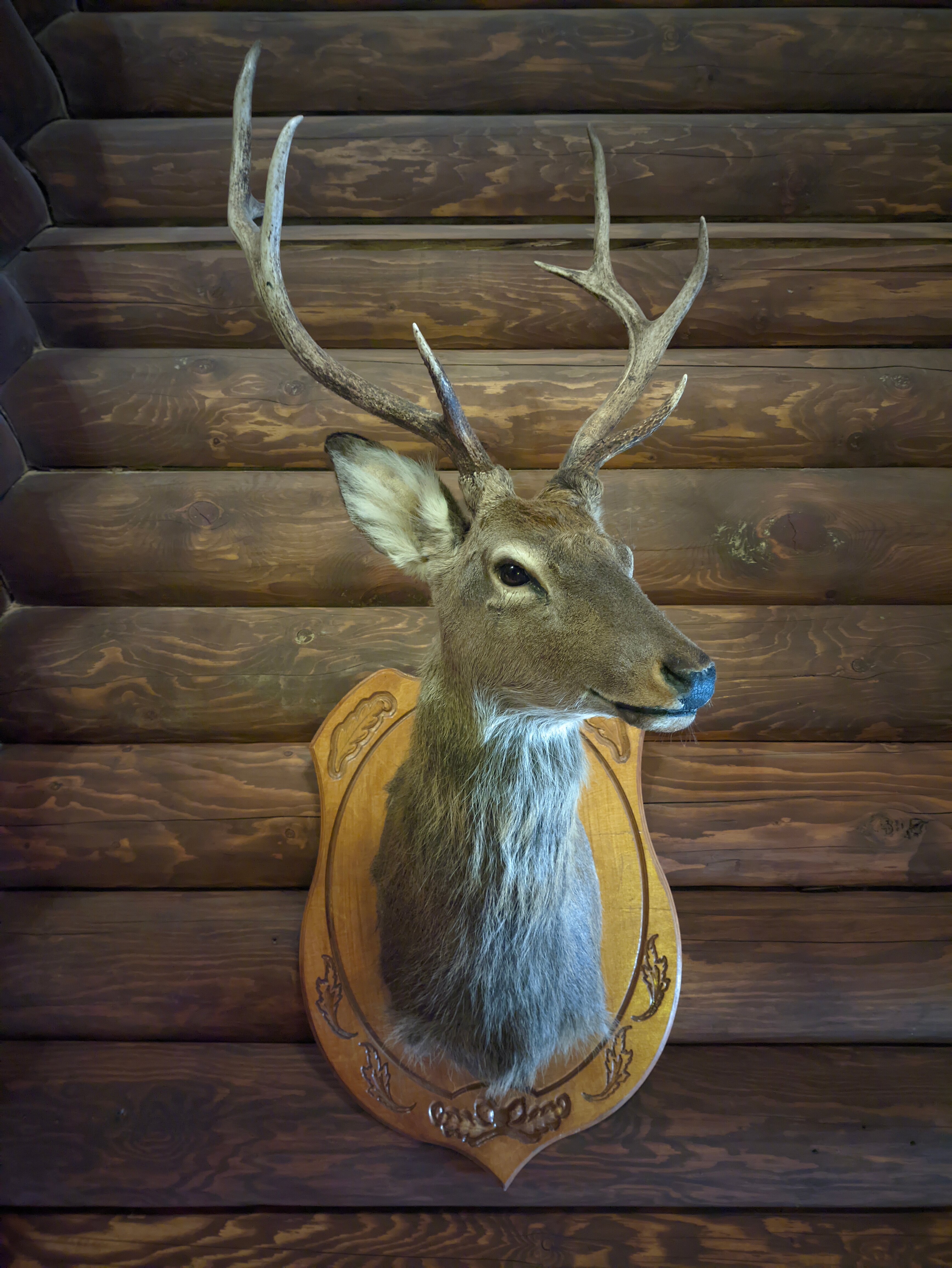 Фото Мышкин двор Барабановъ