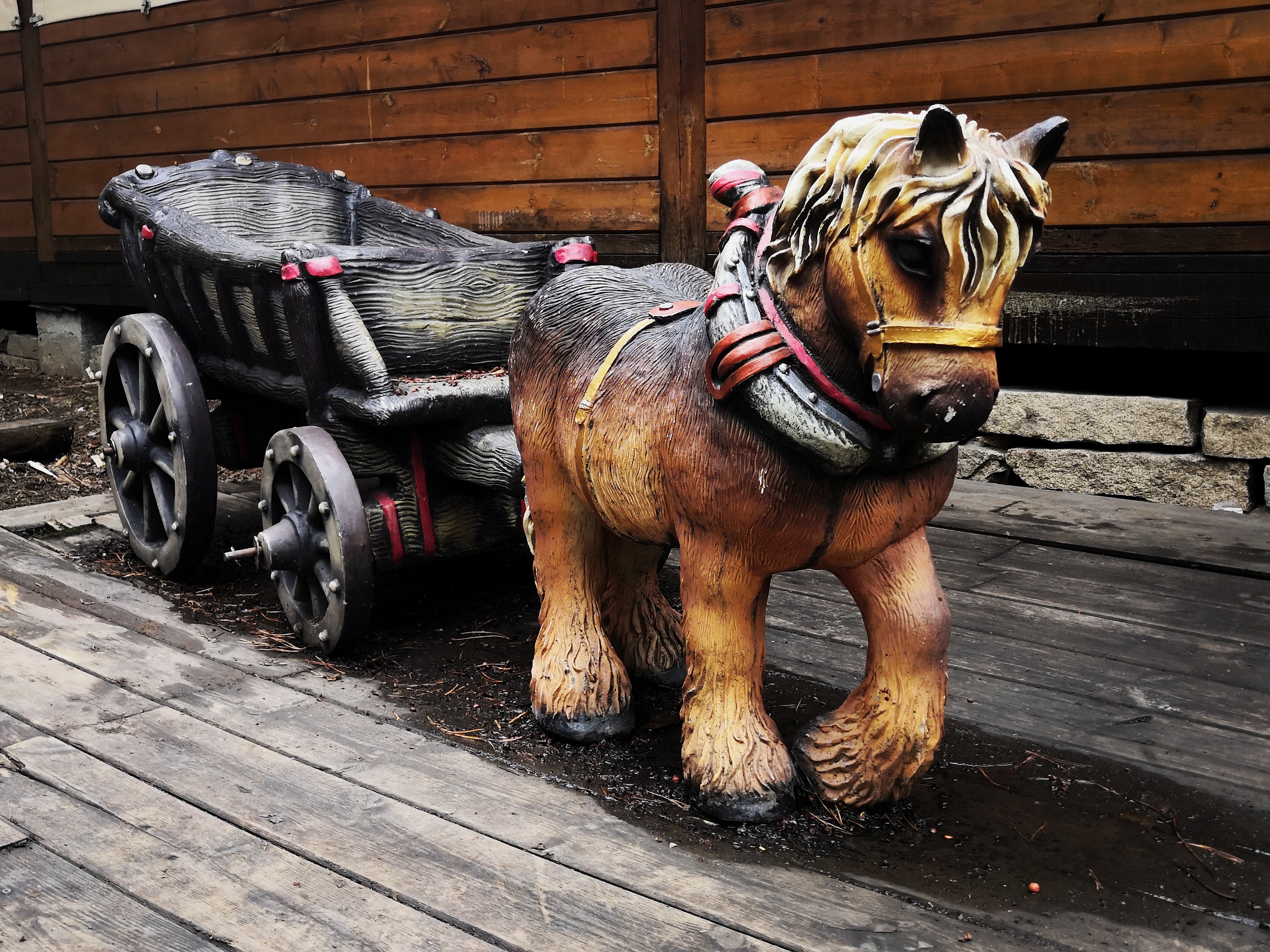 Фото Лесная поляна