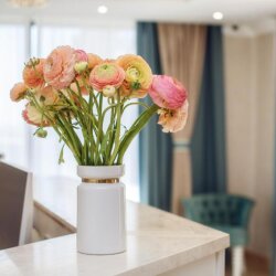 Фото Династия