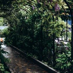 Фото Customs House