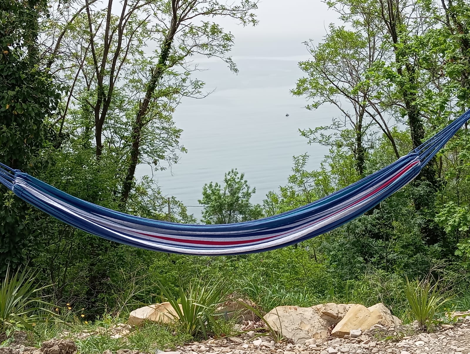 Фото Лайнер