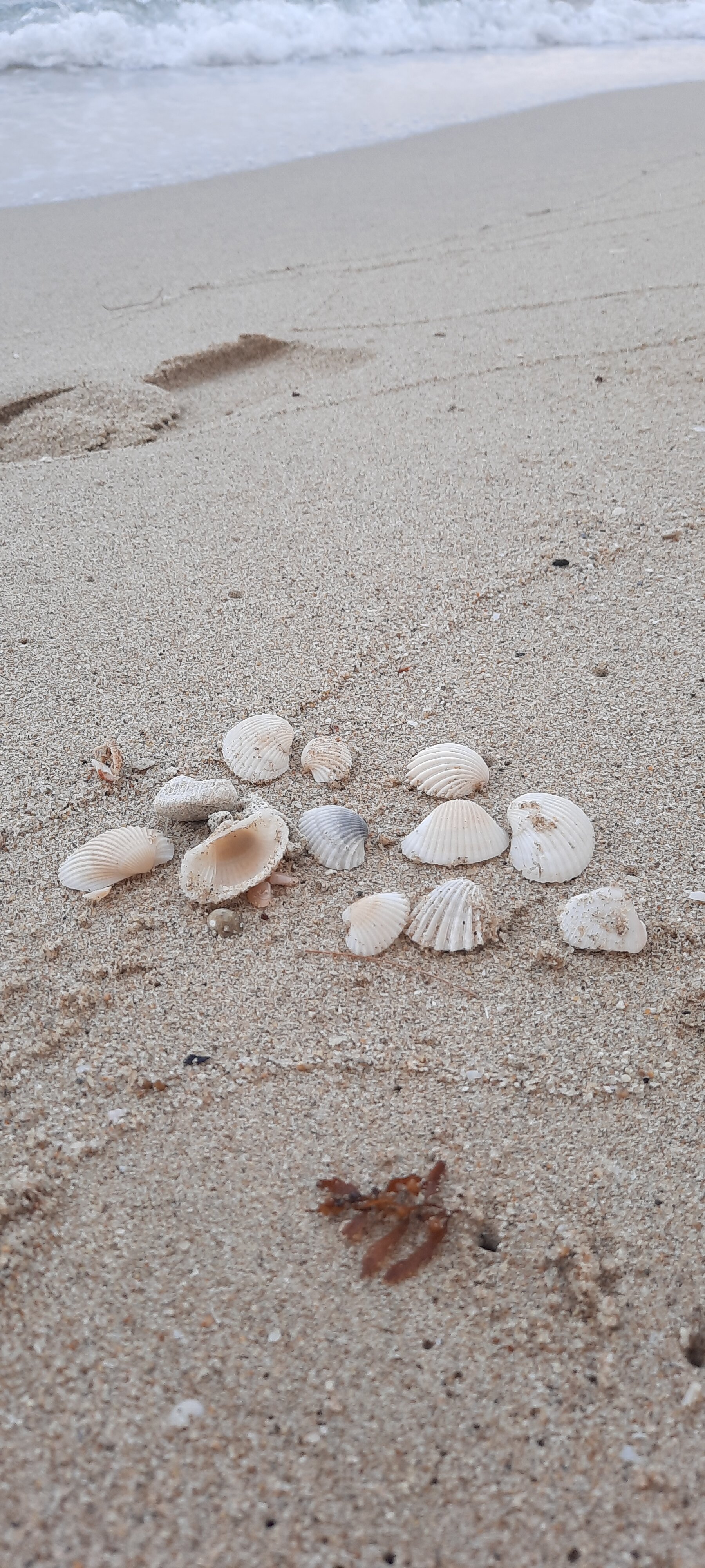 Фото Chai Chet Resort Koh Chang