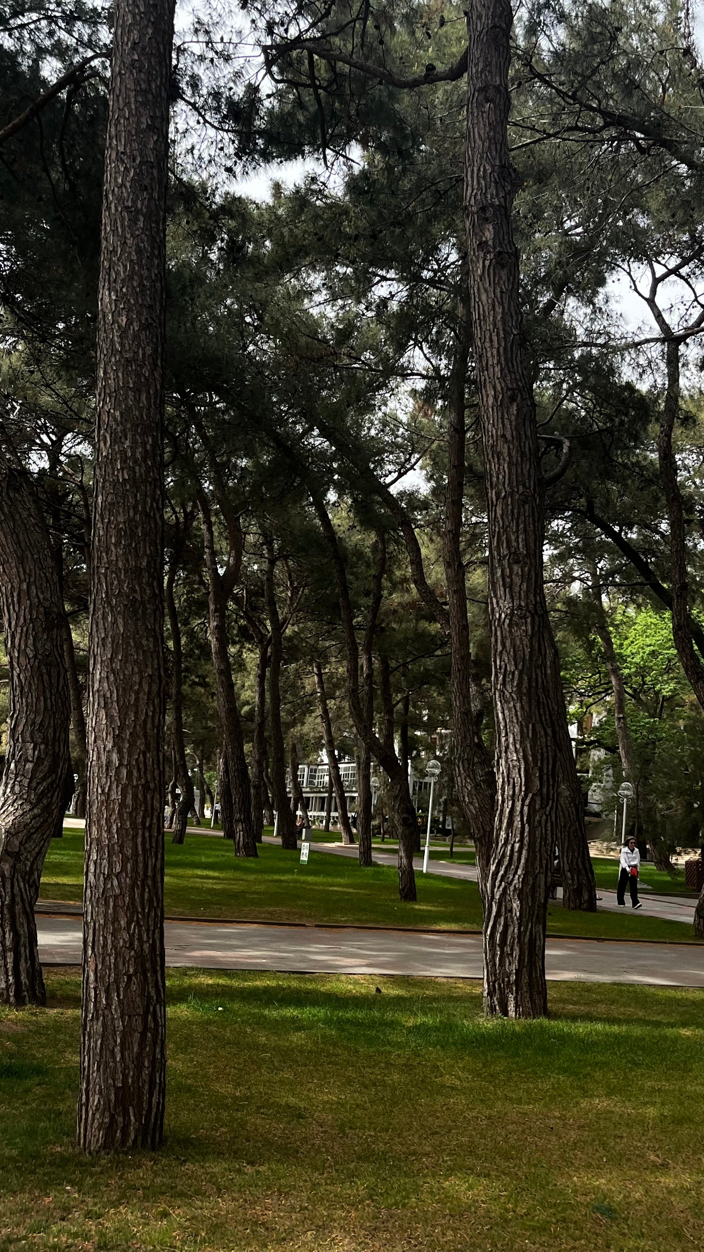 Фото Гранд Премьер