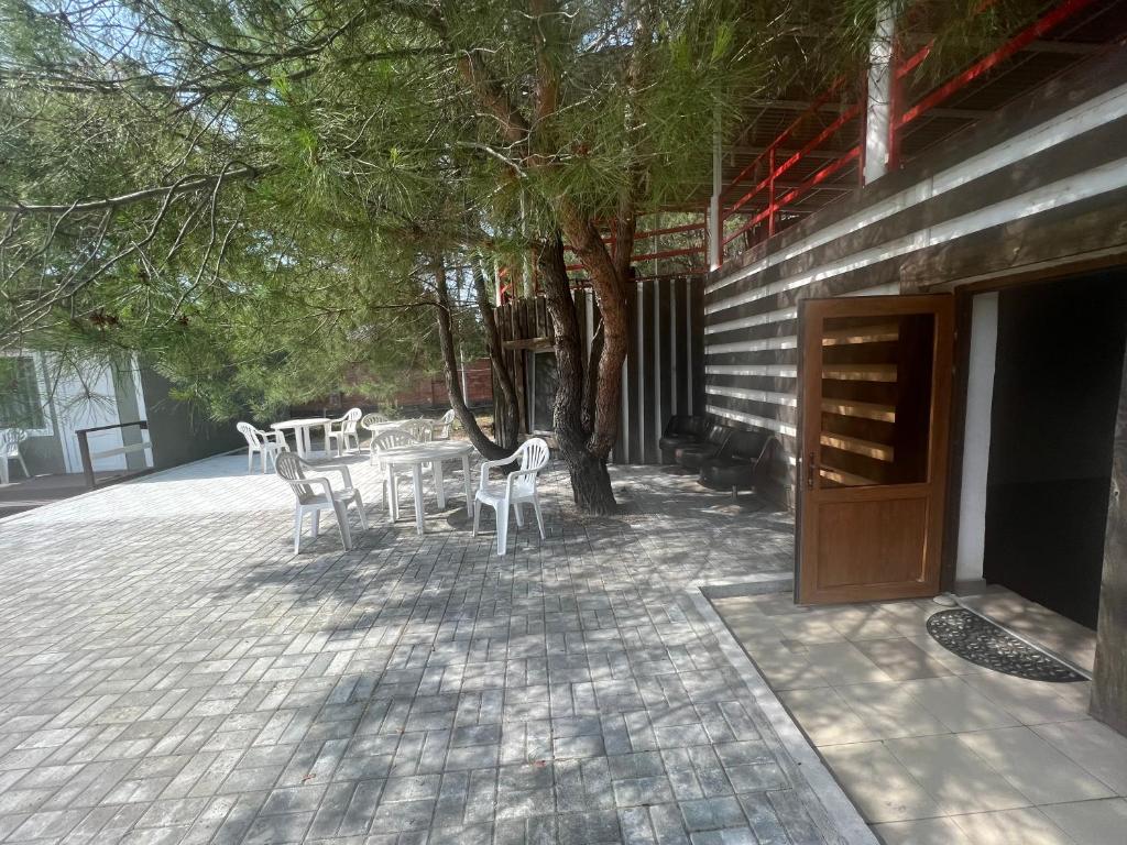 Фото Forest Club