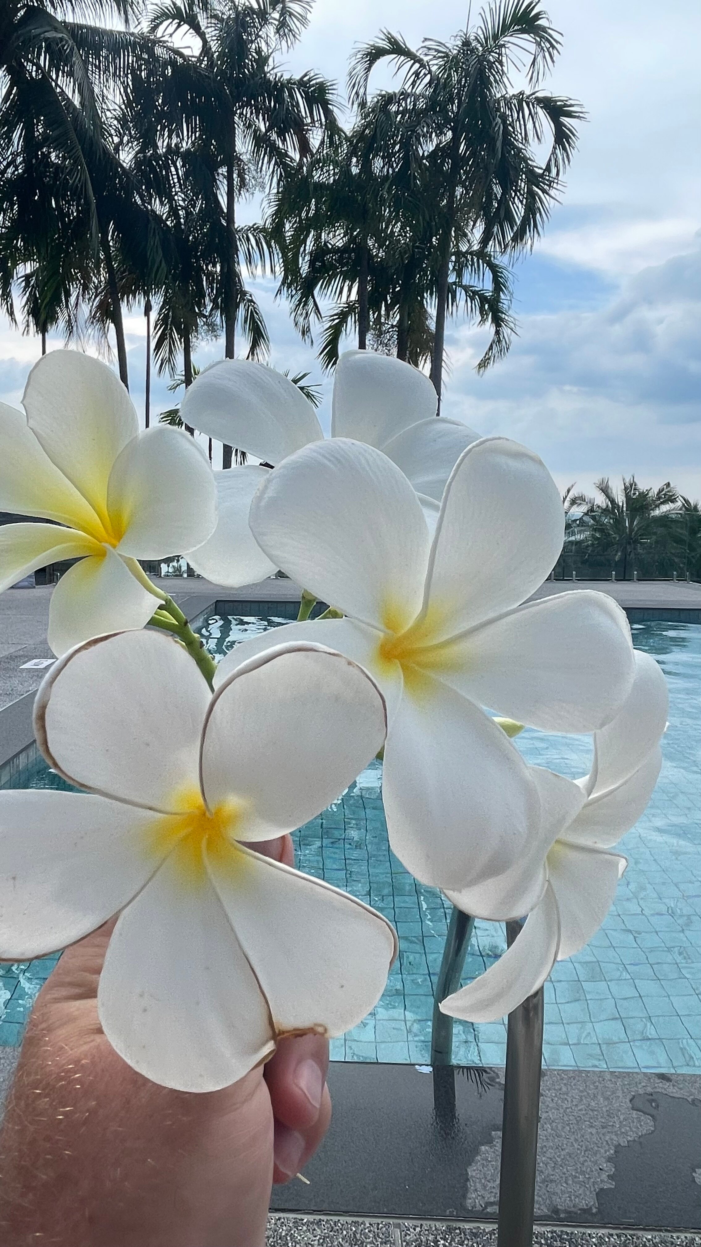 Фото Andamantra Resort & Villa Phuket