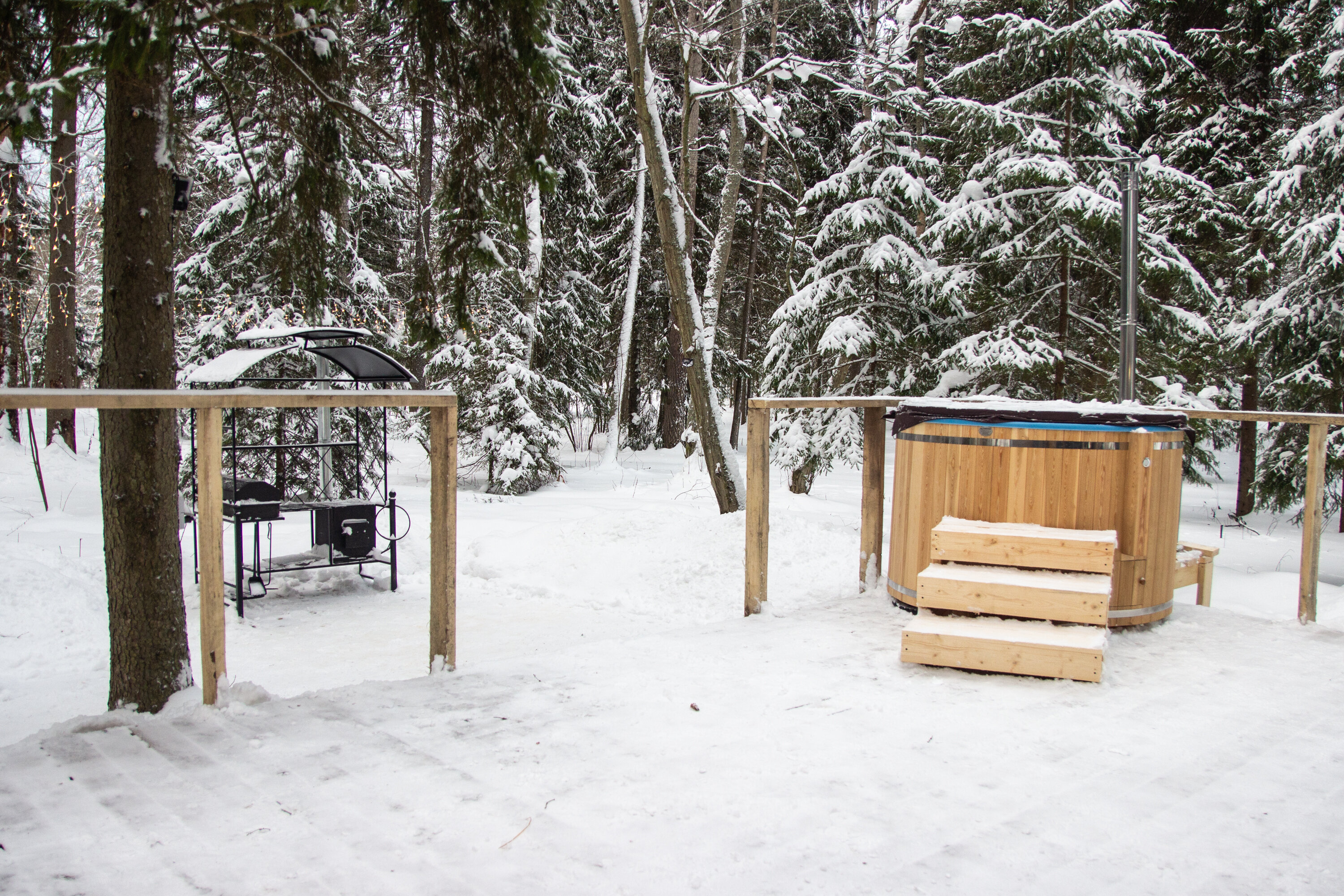 Фото Лесная тропа