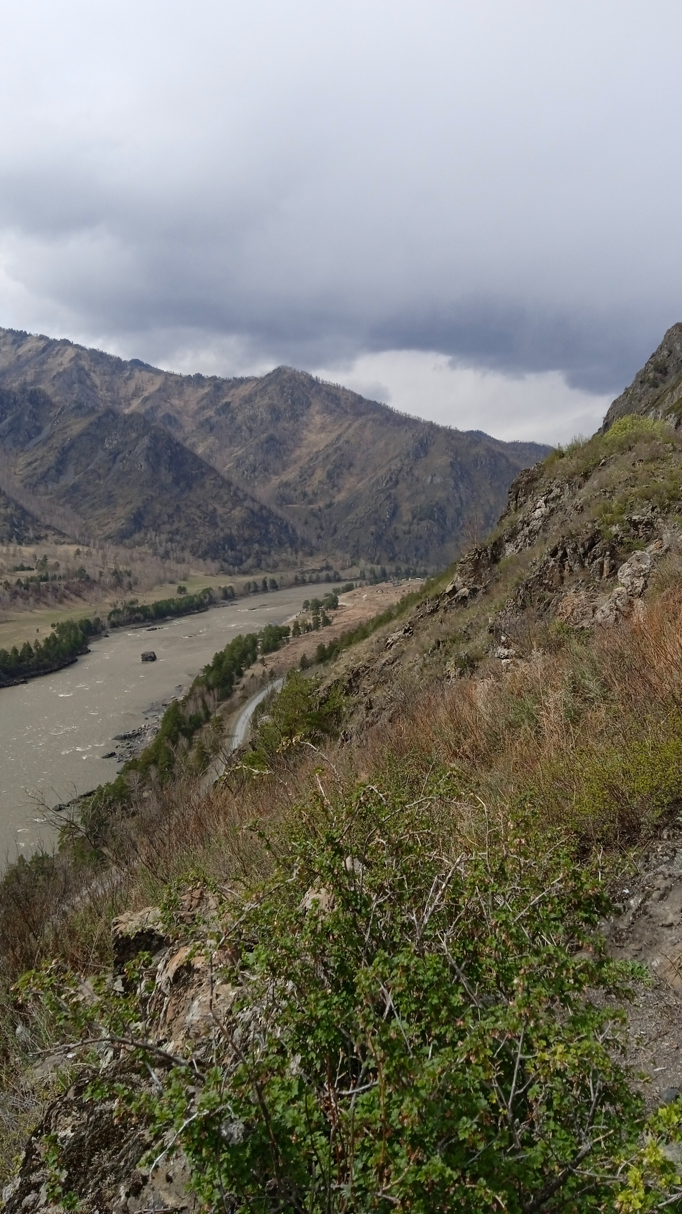 Фото Алтай-Вояж