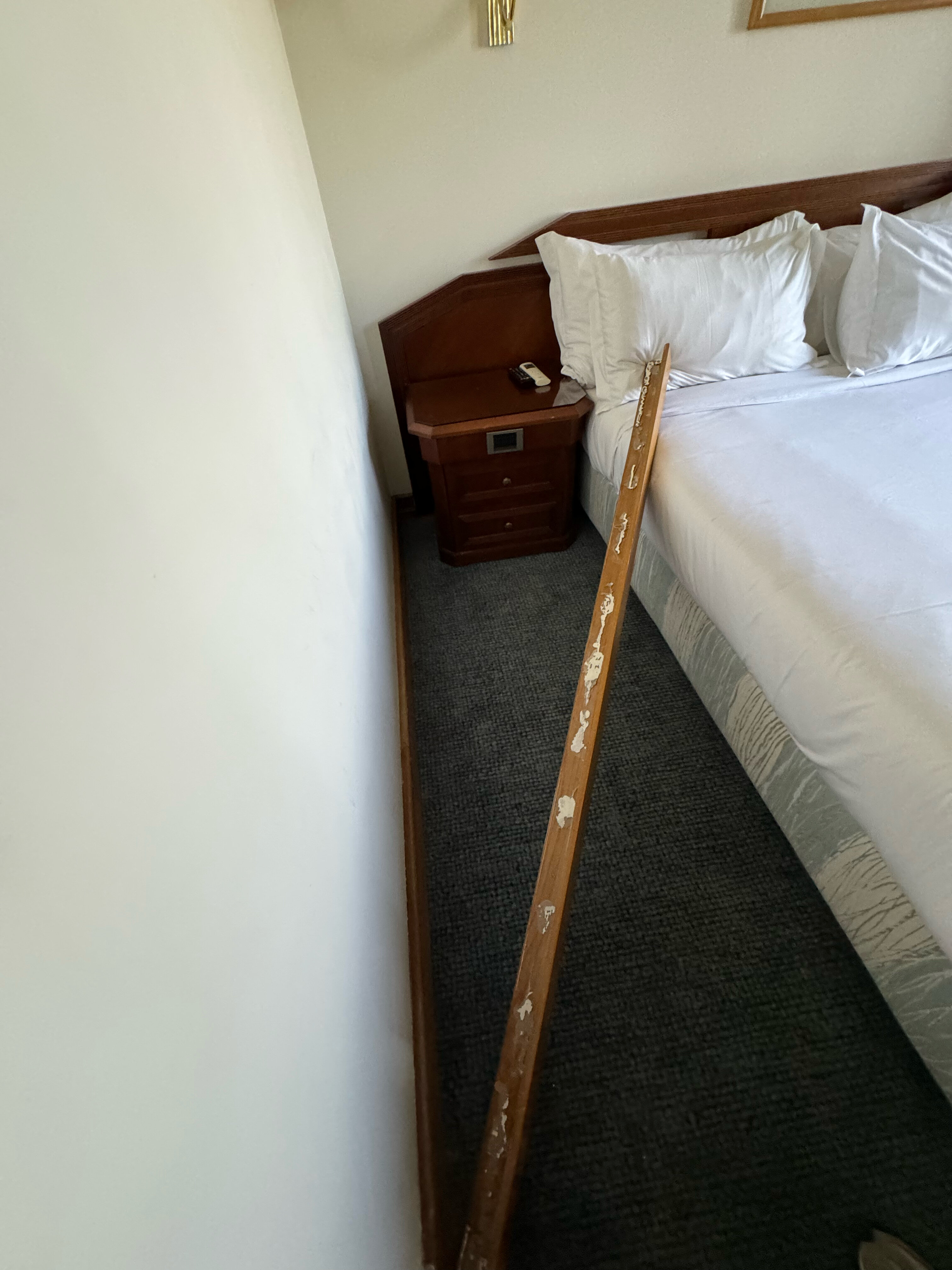 Фото Sana Rex Hotel