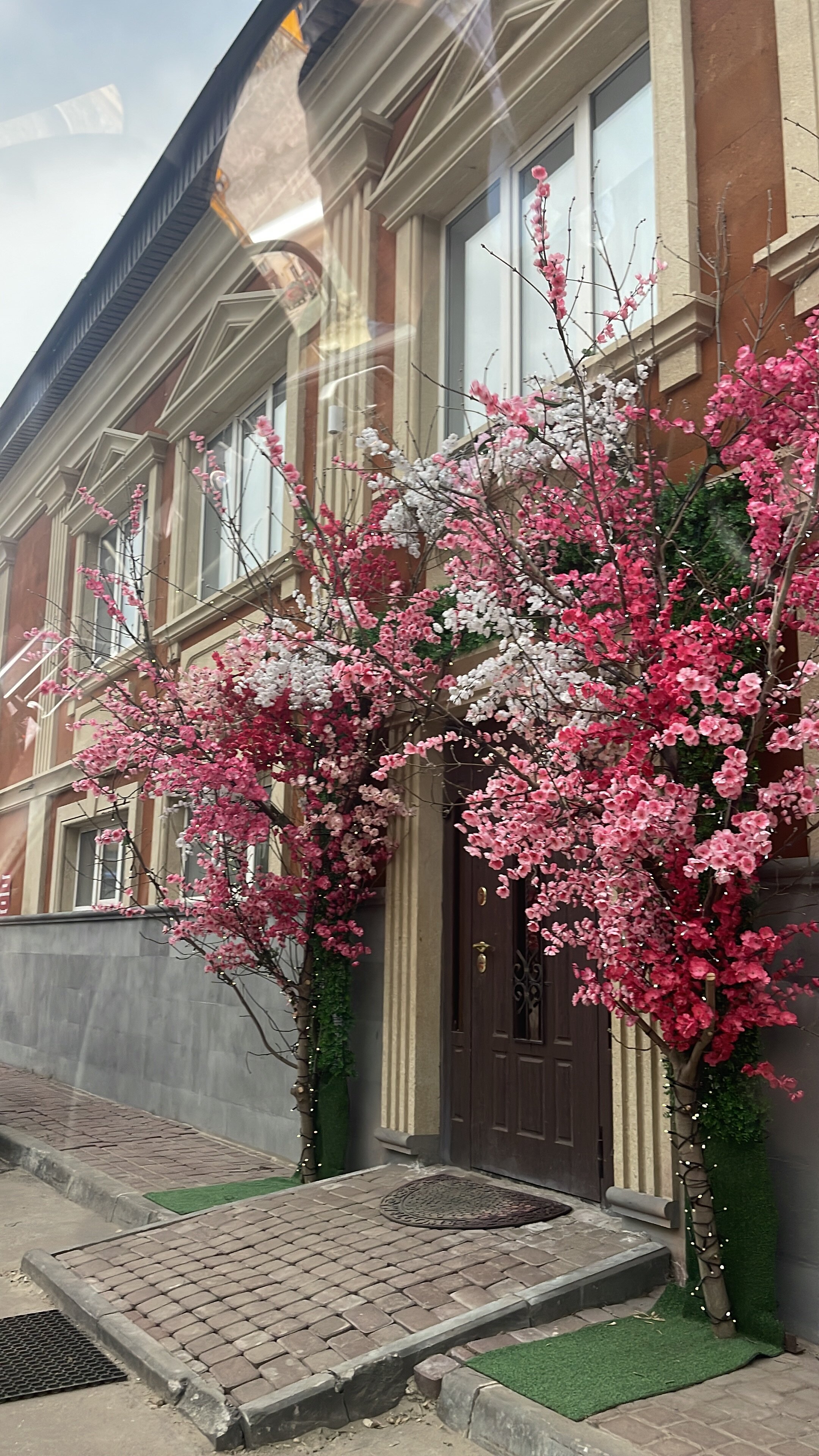 Фото Норатон