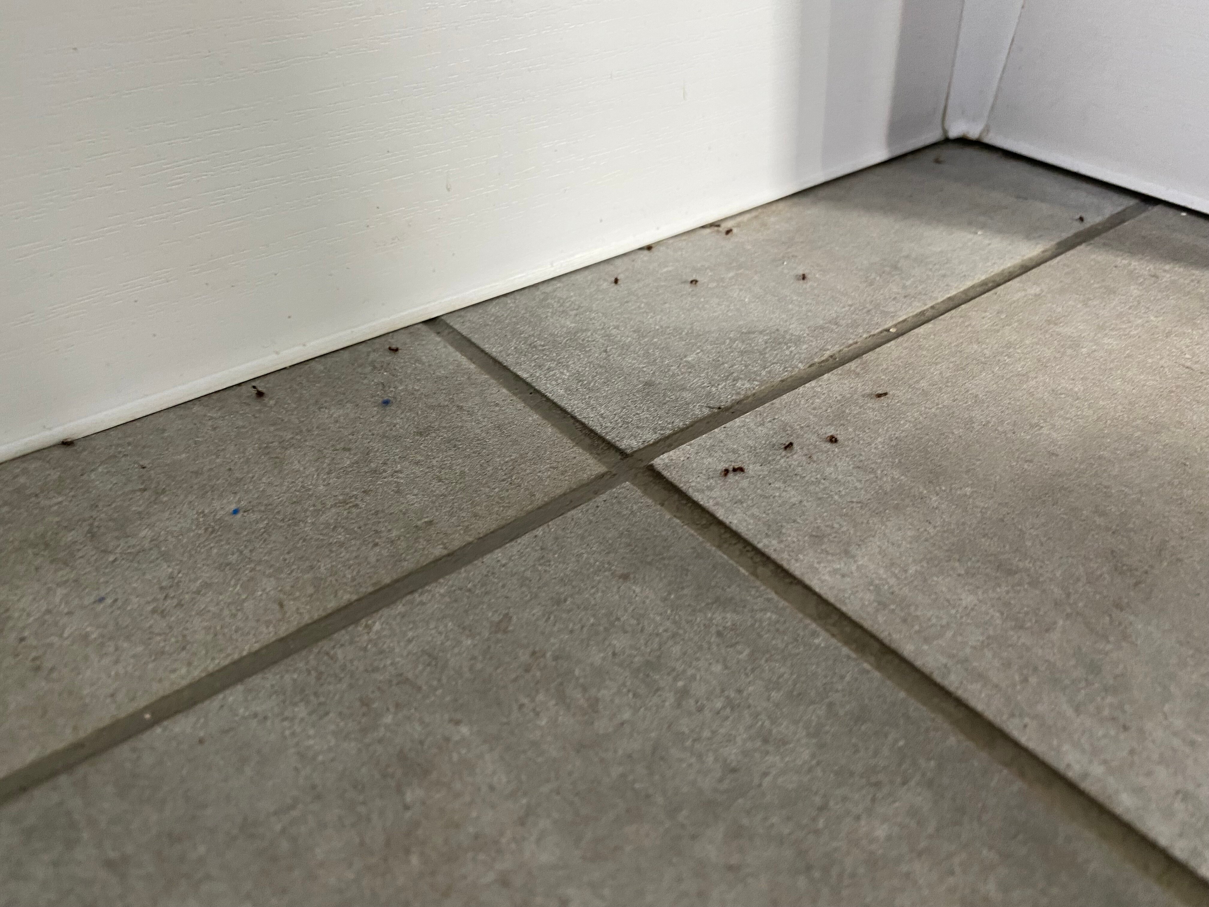 Фото Семейный отдых