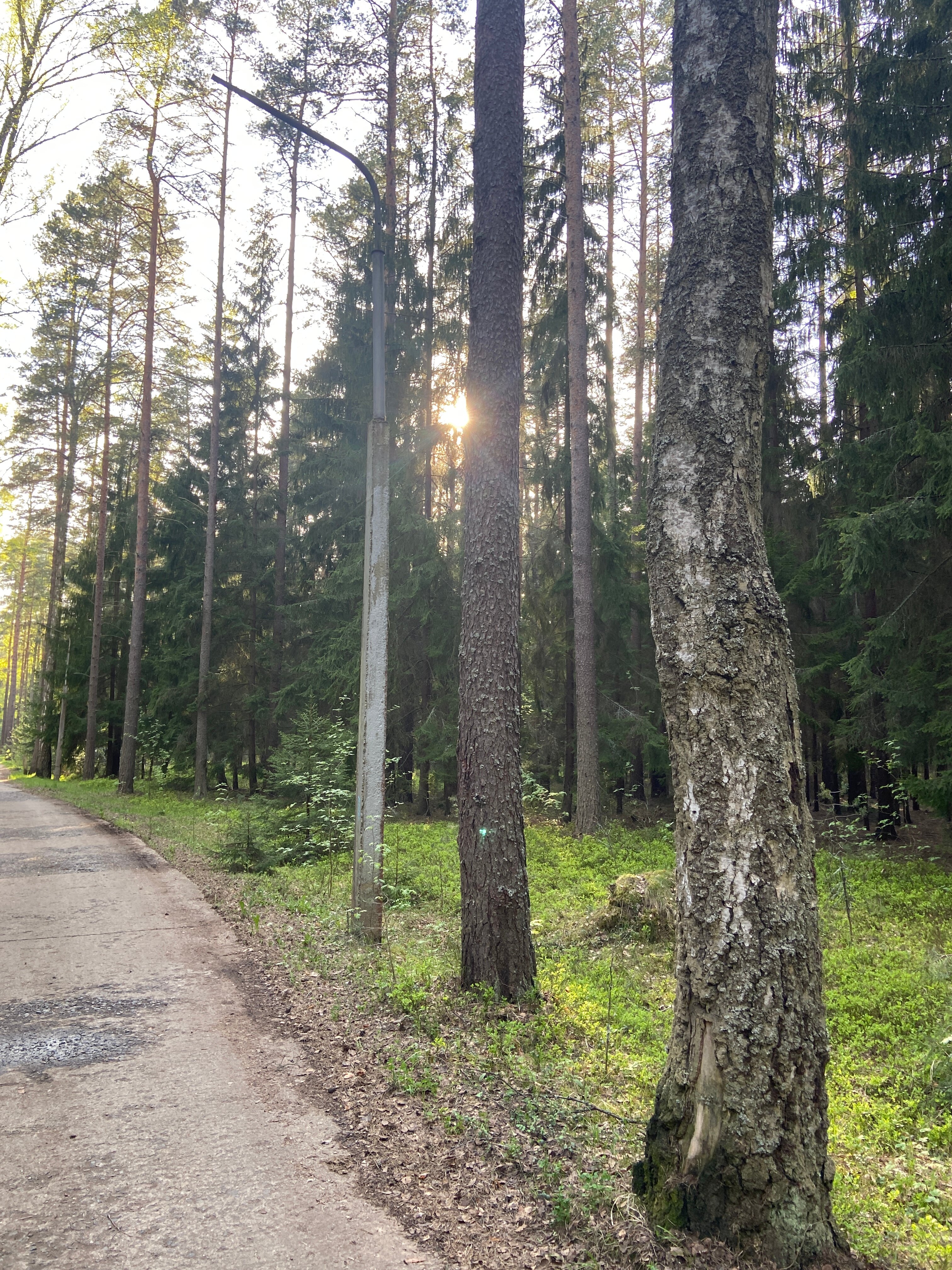 Фото Нафтан