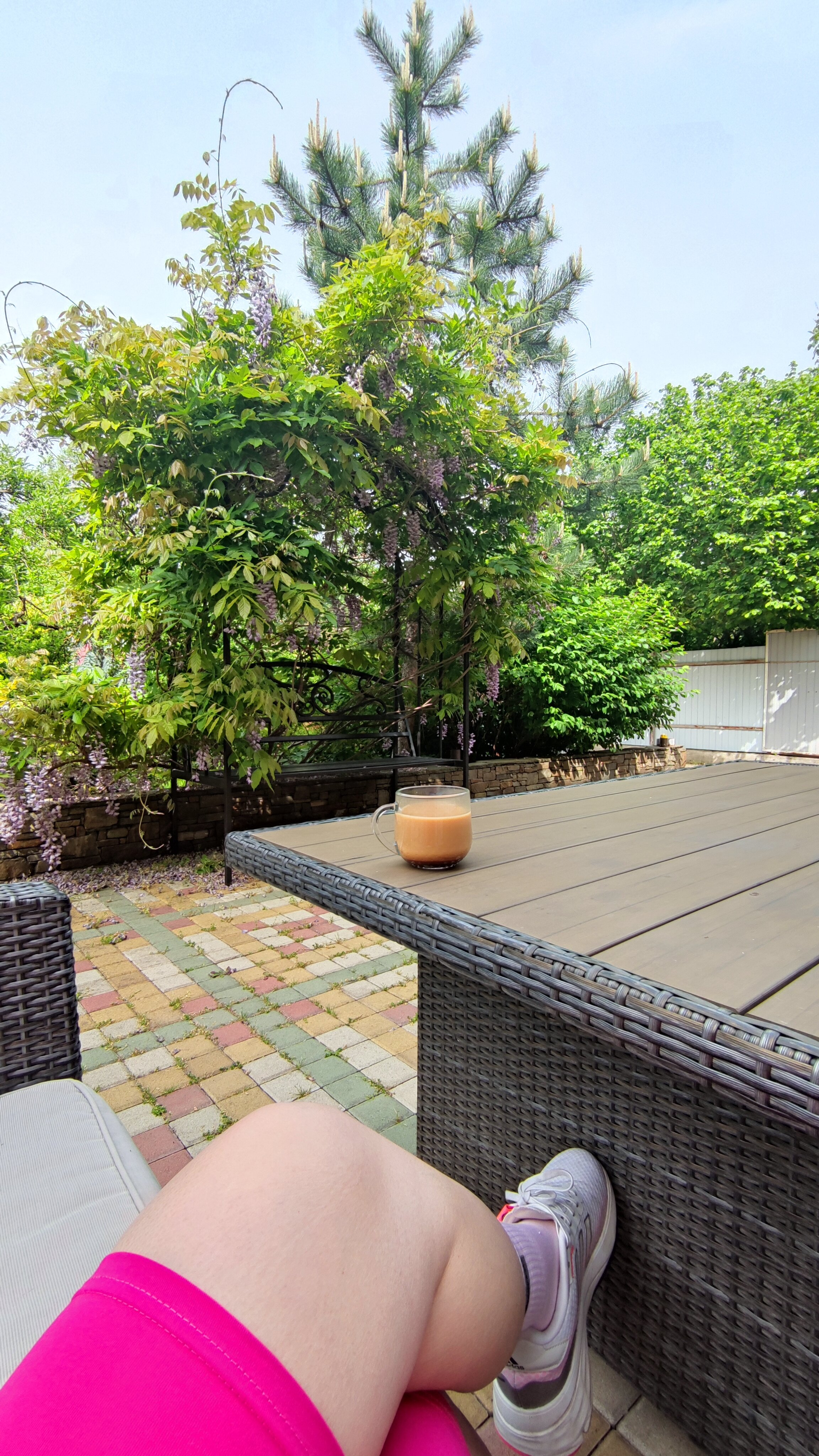 Фото Саксония