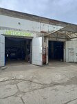 Авто доктор (Settlement of Noviy, с12), car service, auto repair