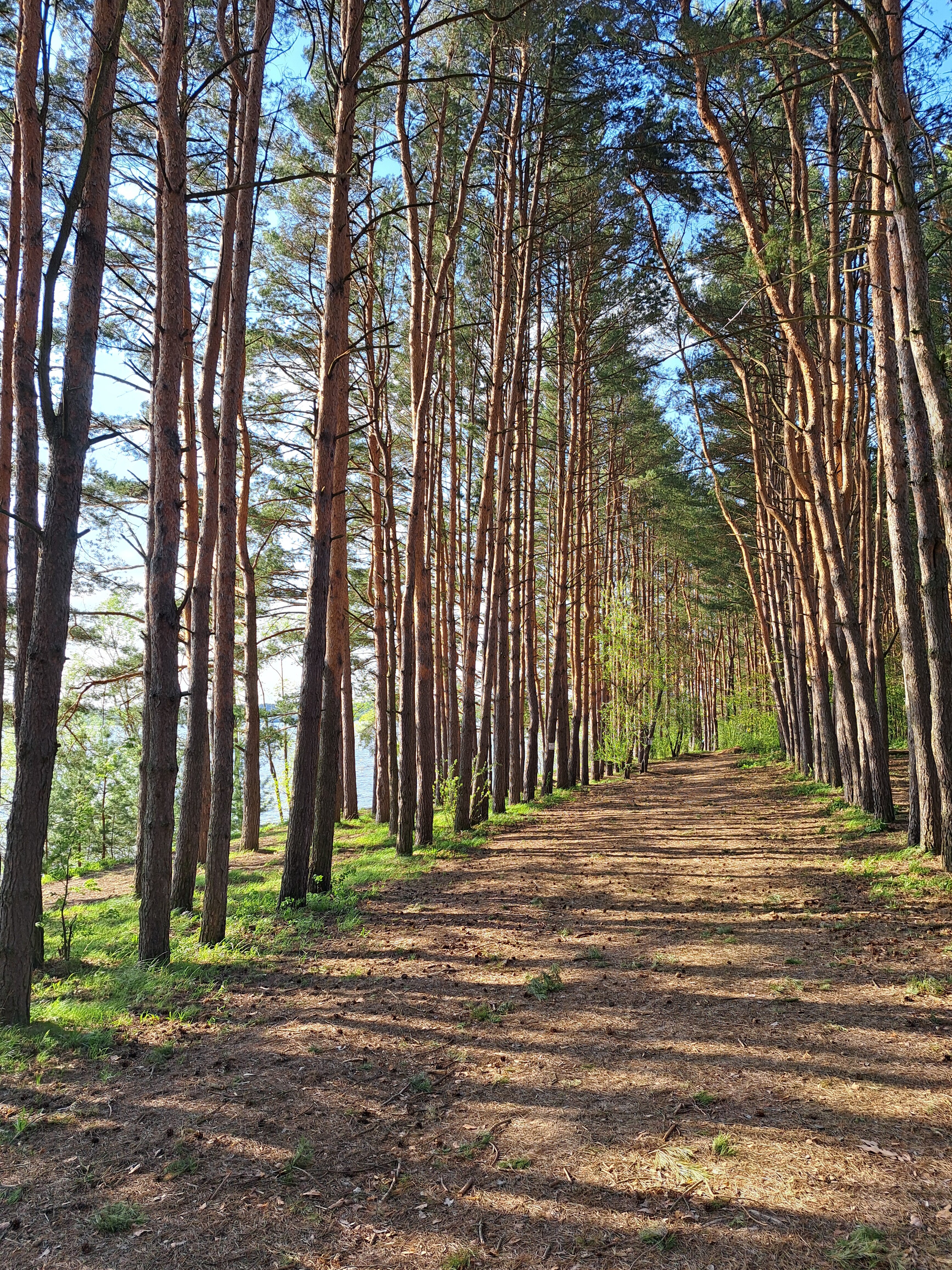 Фото ЛаДача