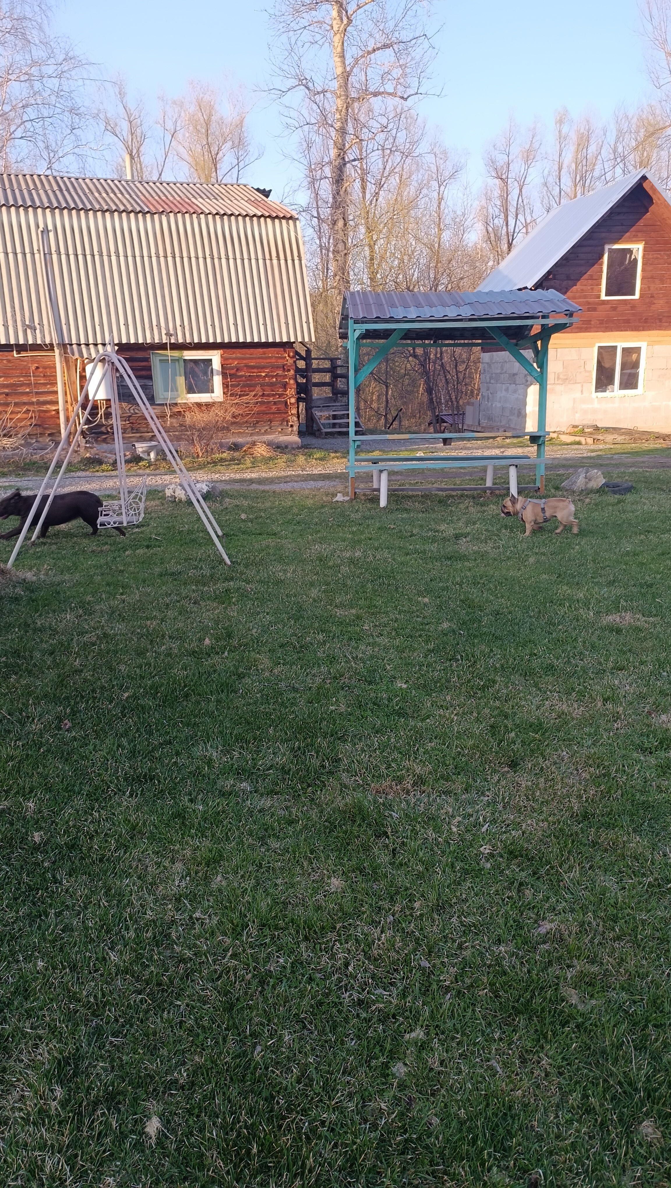 Фото У ручья