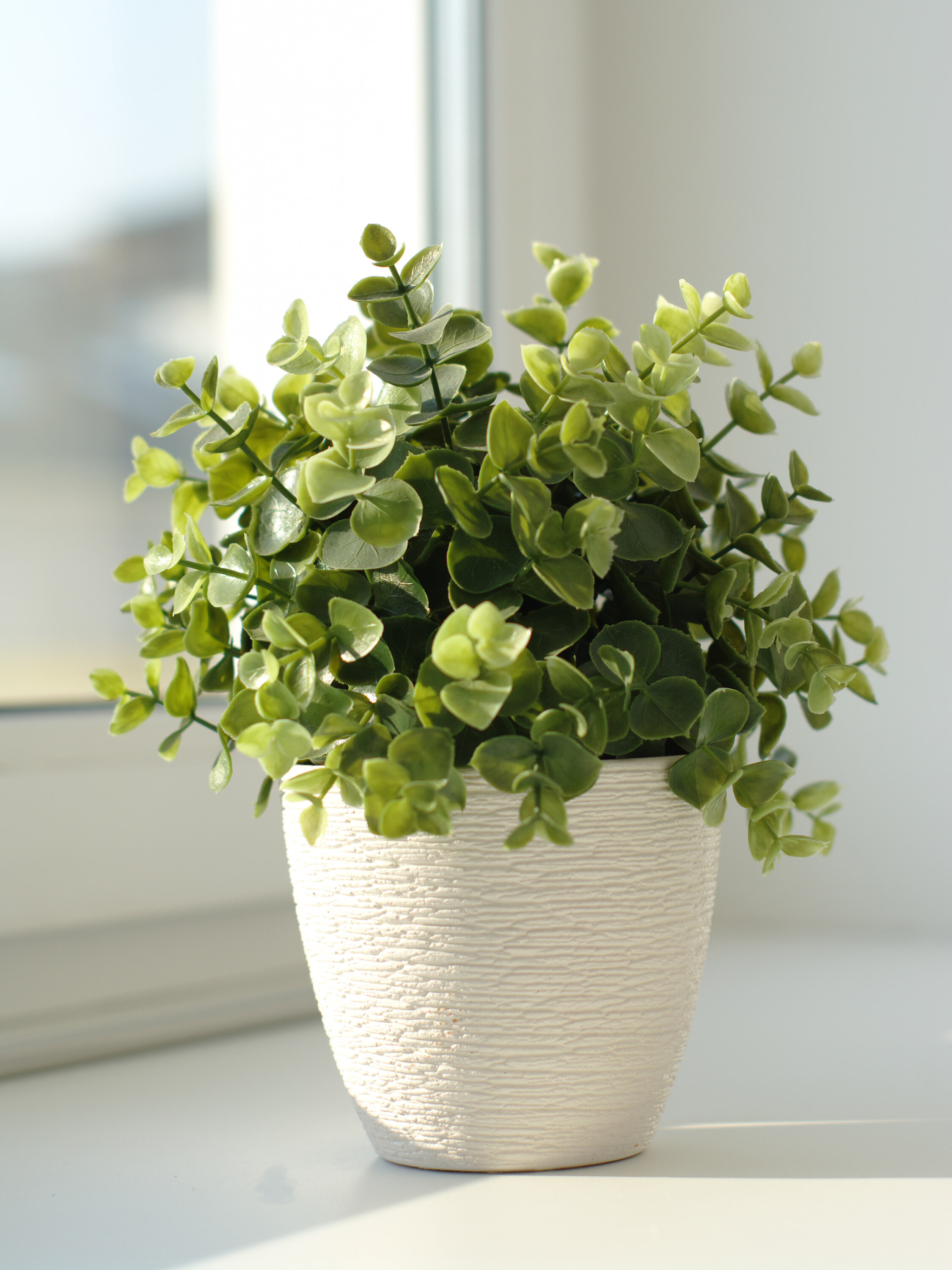 Фото Калинин