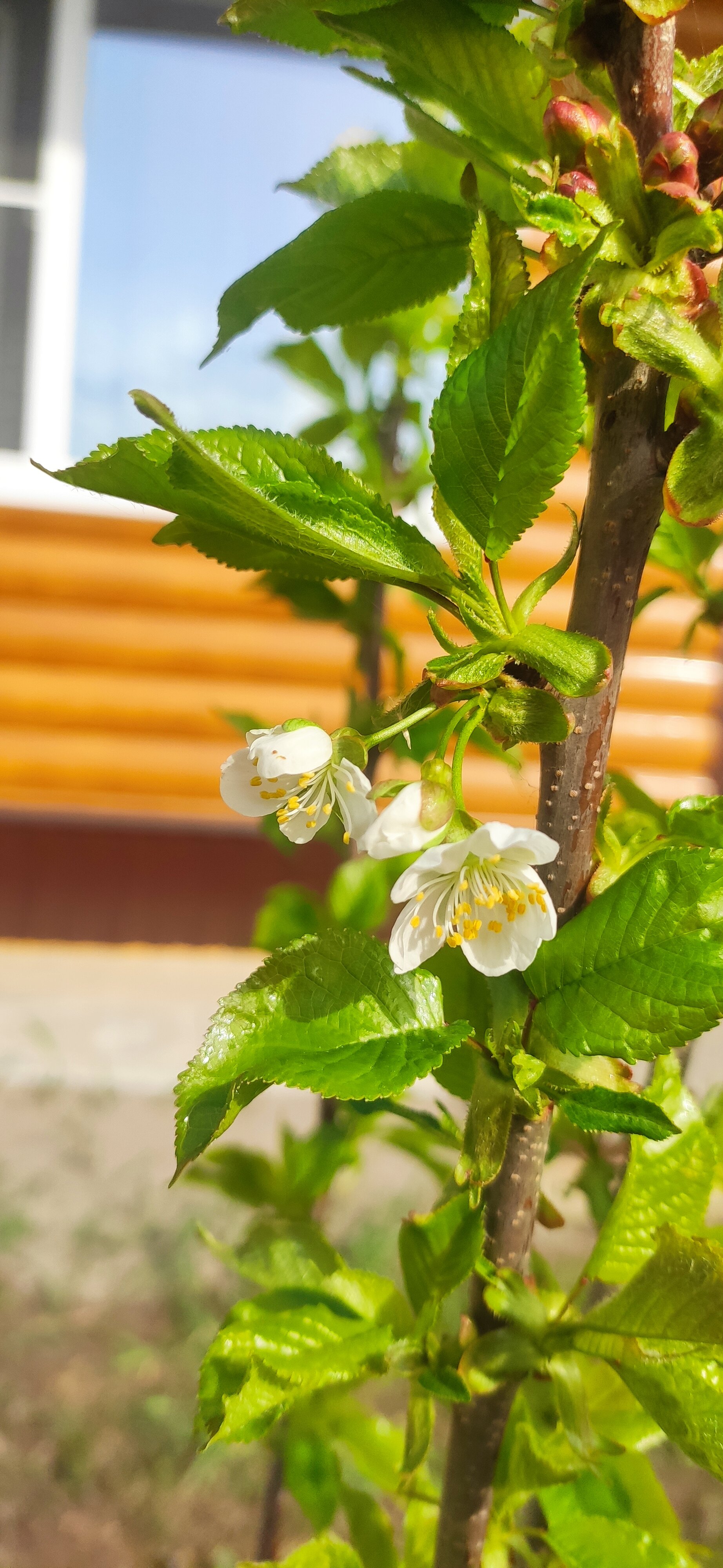 Фото Уют и Тепло