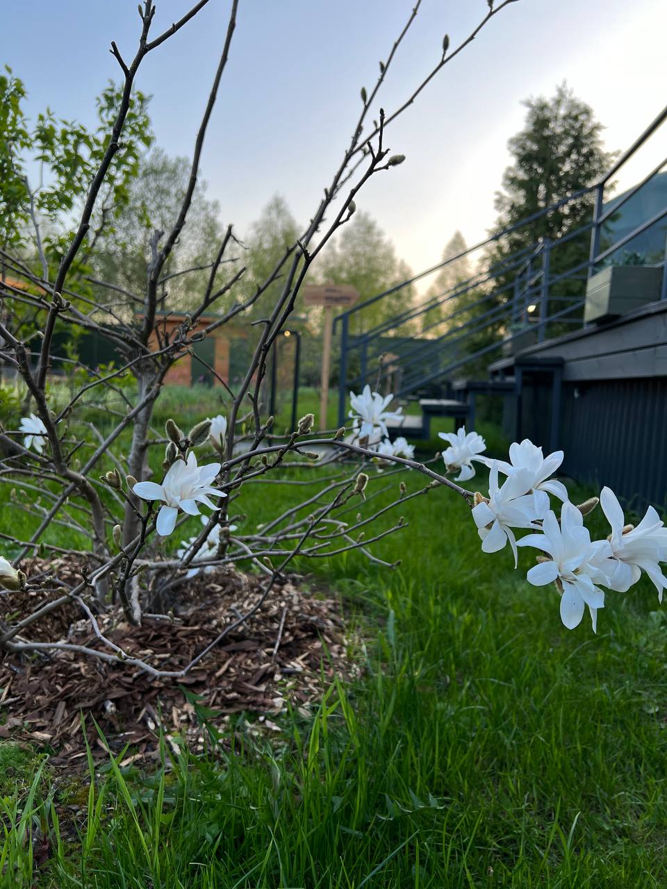 Фото Green Point