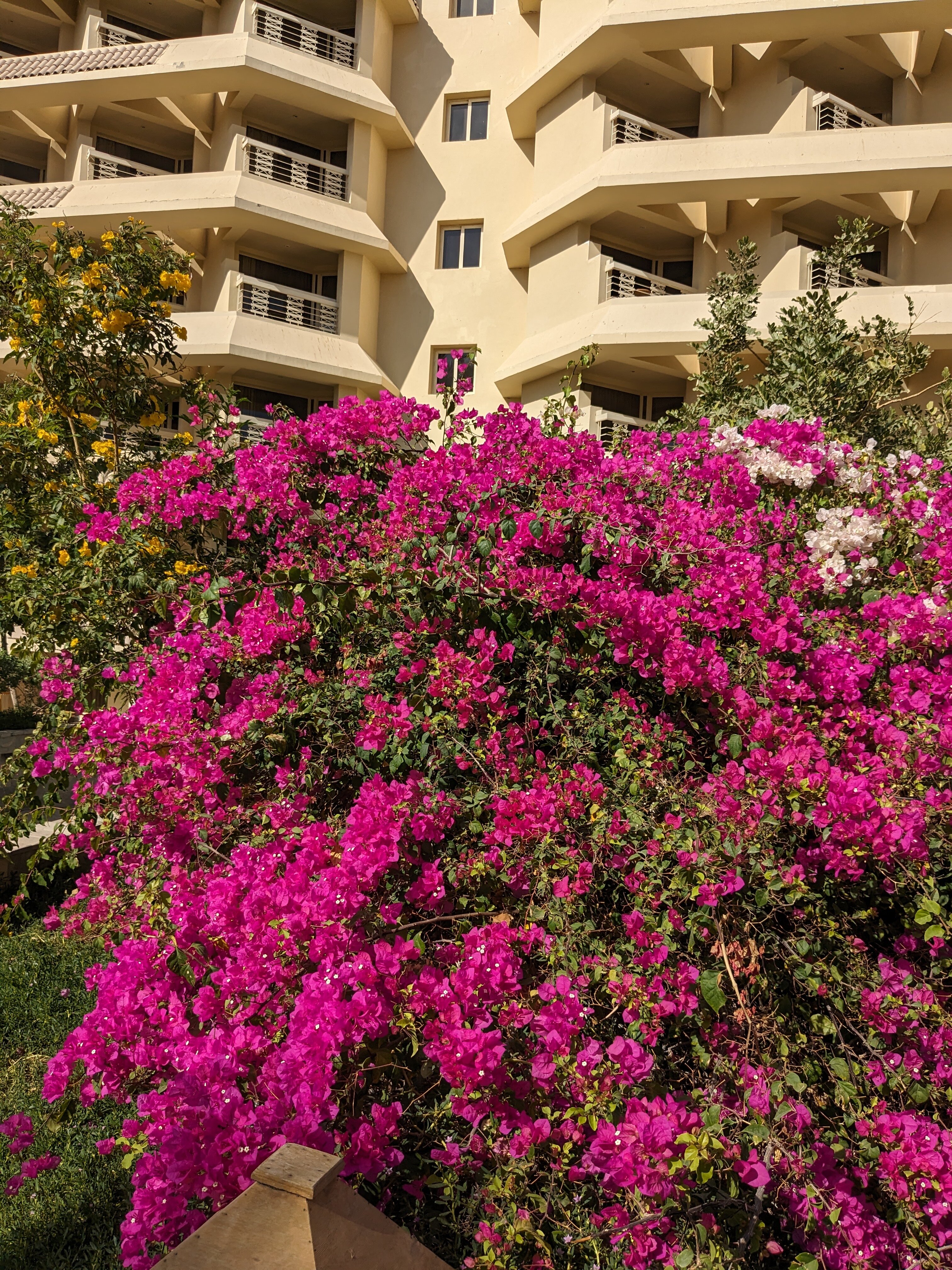 Фото Sindbad Club