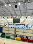 Центр подготовки по спортивной гимнастике Евгения Подгорного (ул. Георгия Колонды, 5), спортивный комплекс в Новосибирске