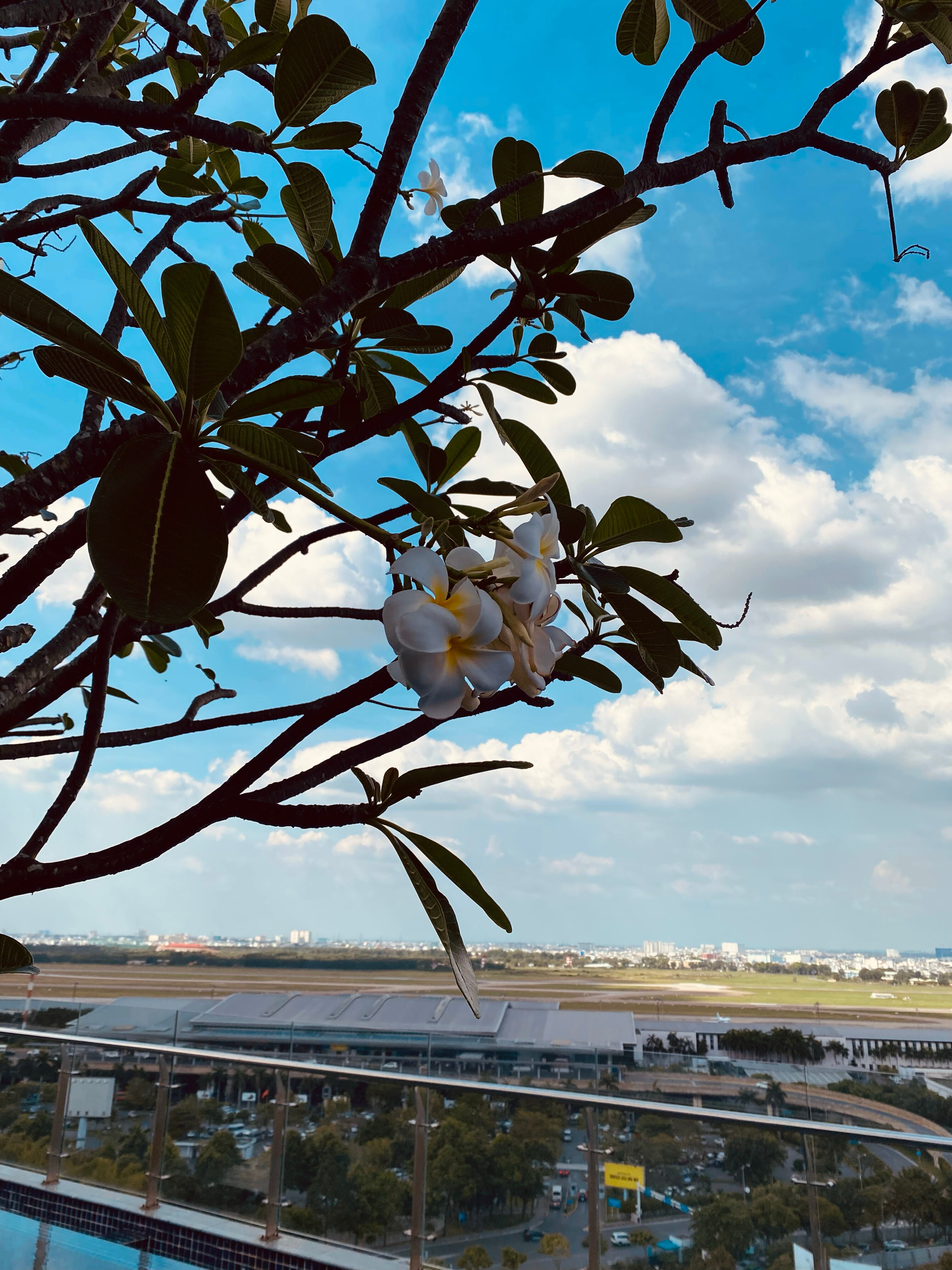 Фото Ibis Saigon Airport