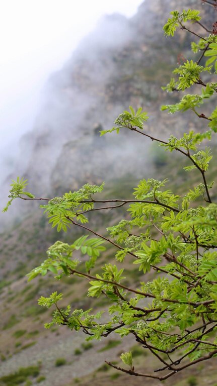 Фото Магия гор