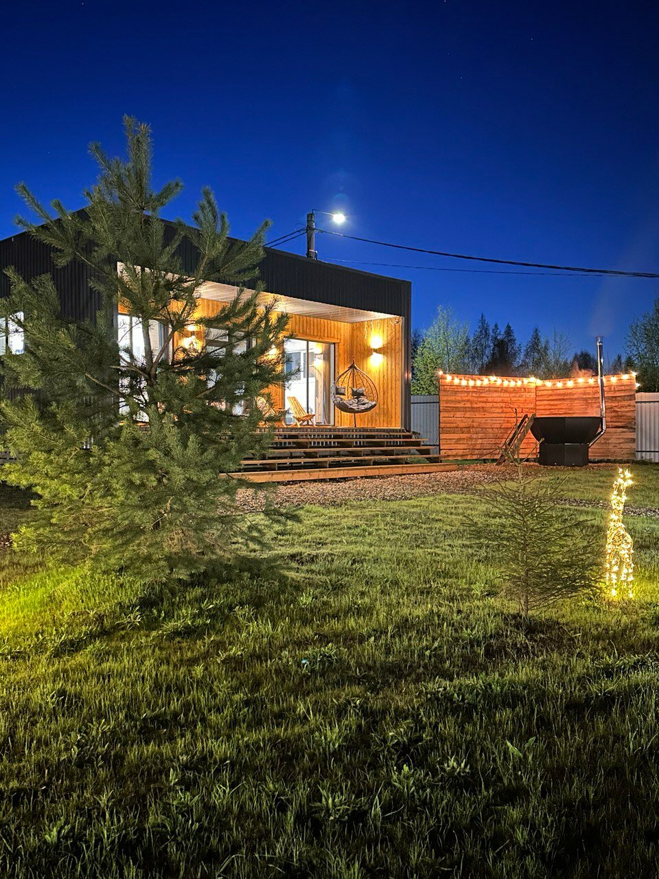 Фото Лес и Волга