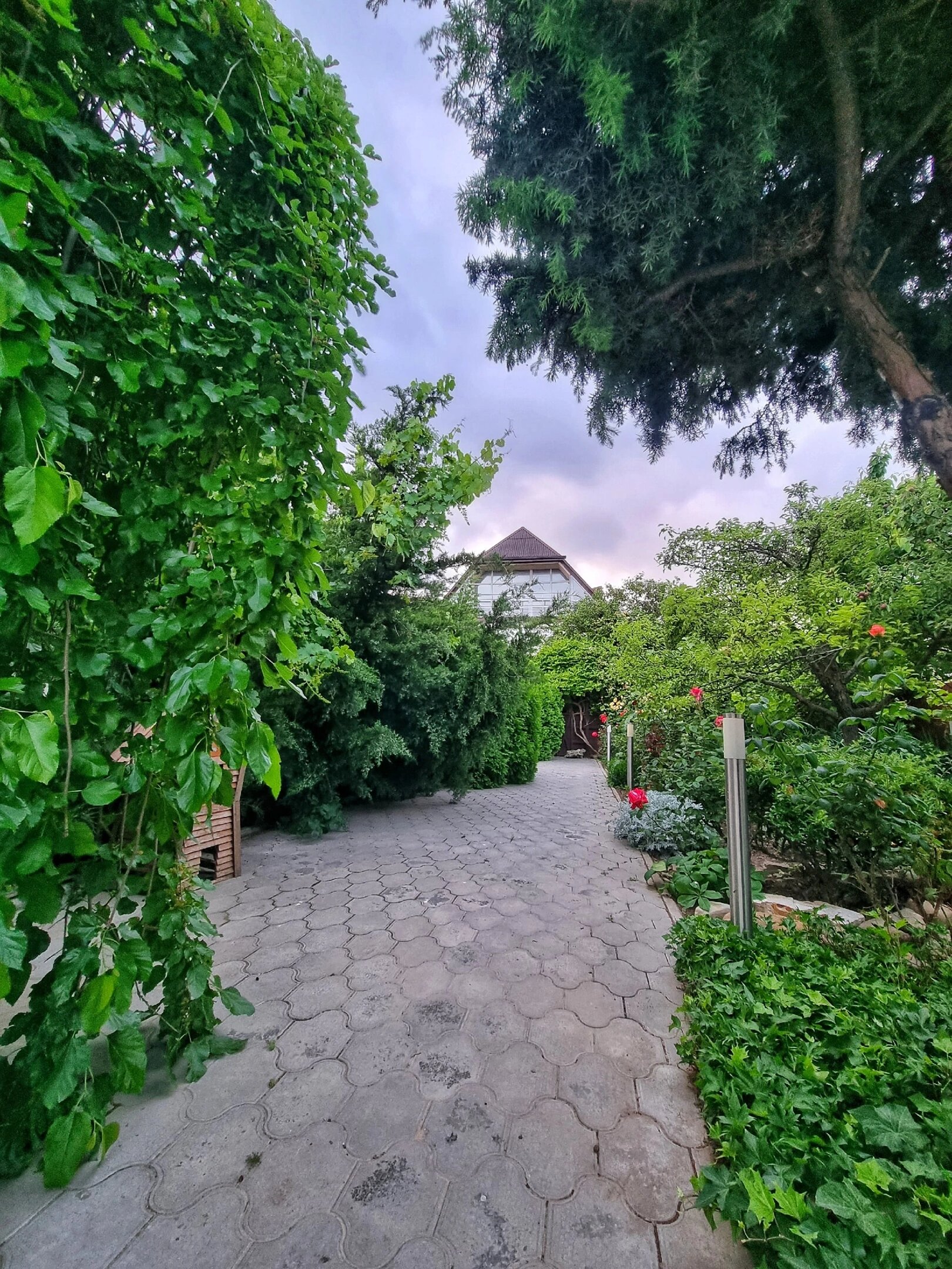 Фото отеля 5