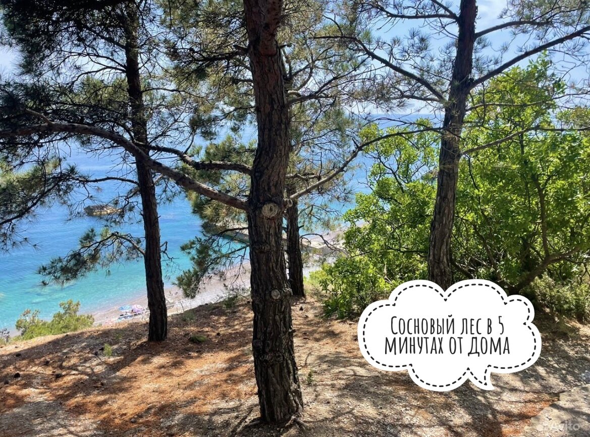 Фото Travel wake