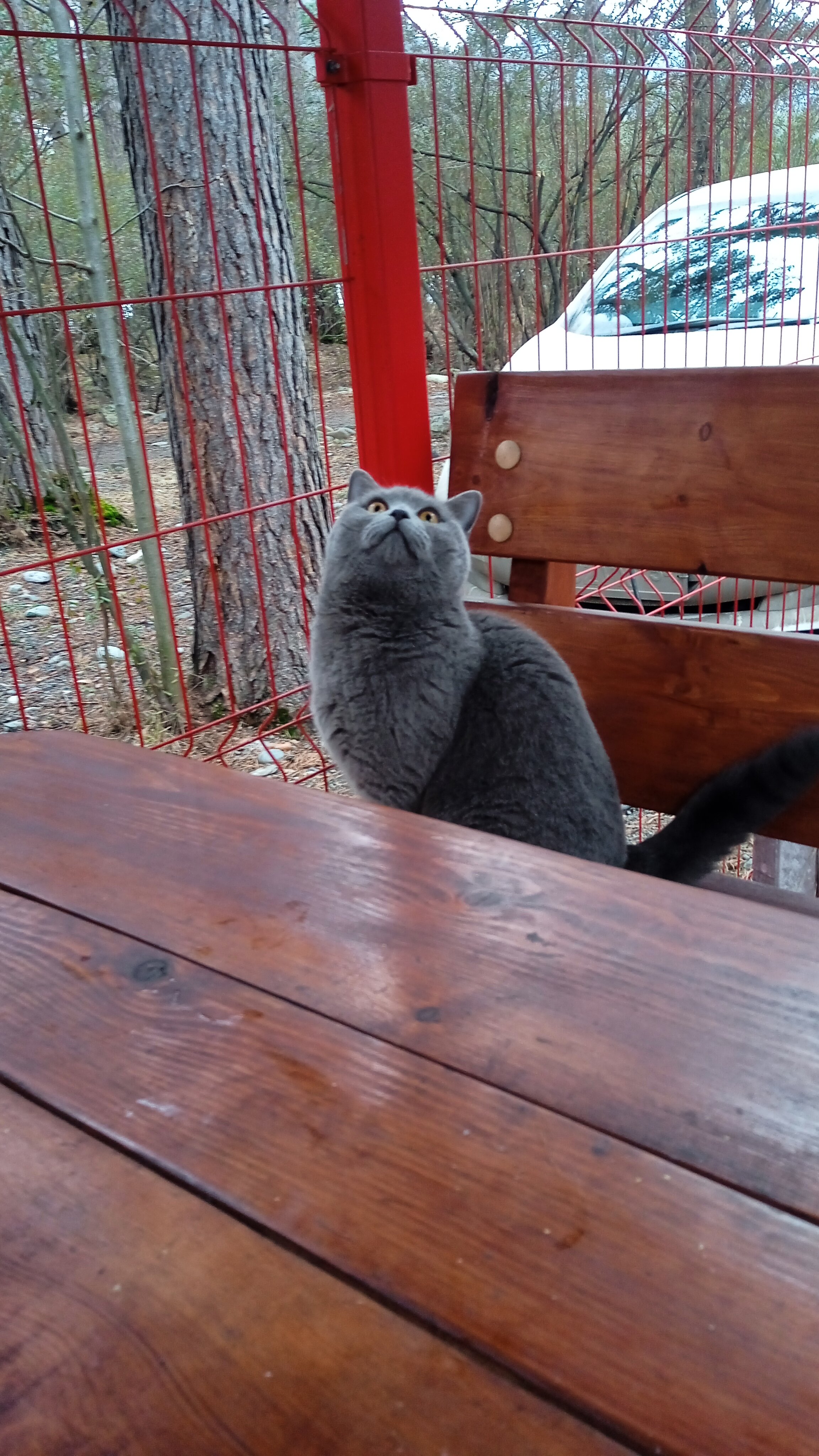 Фото Усадьба Светоч