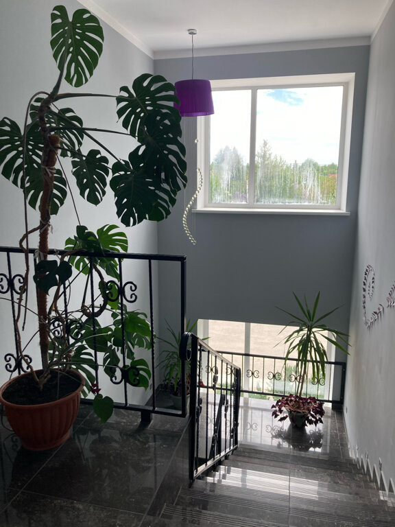 Фото Крокус