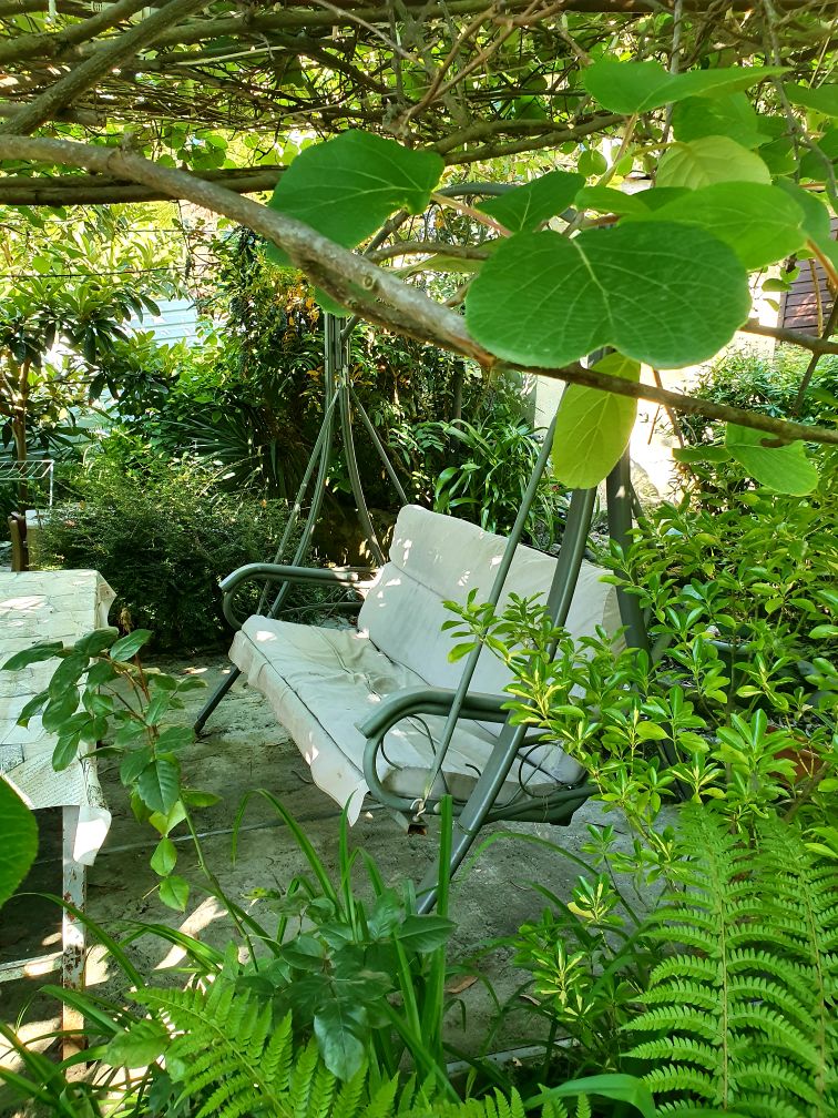 Фото Тихий дворик