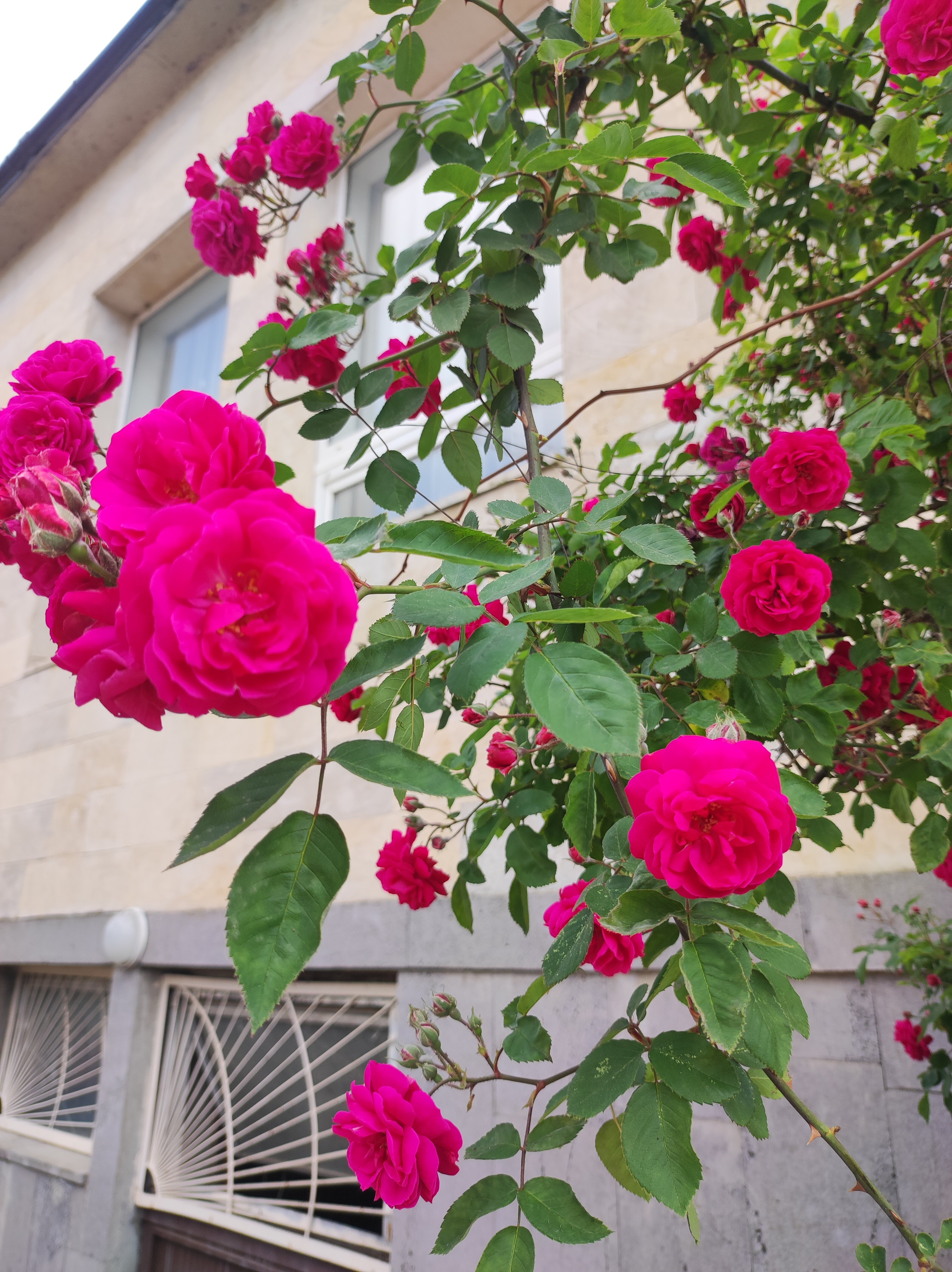 Фото Литфонд