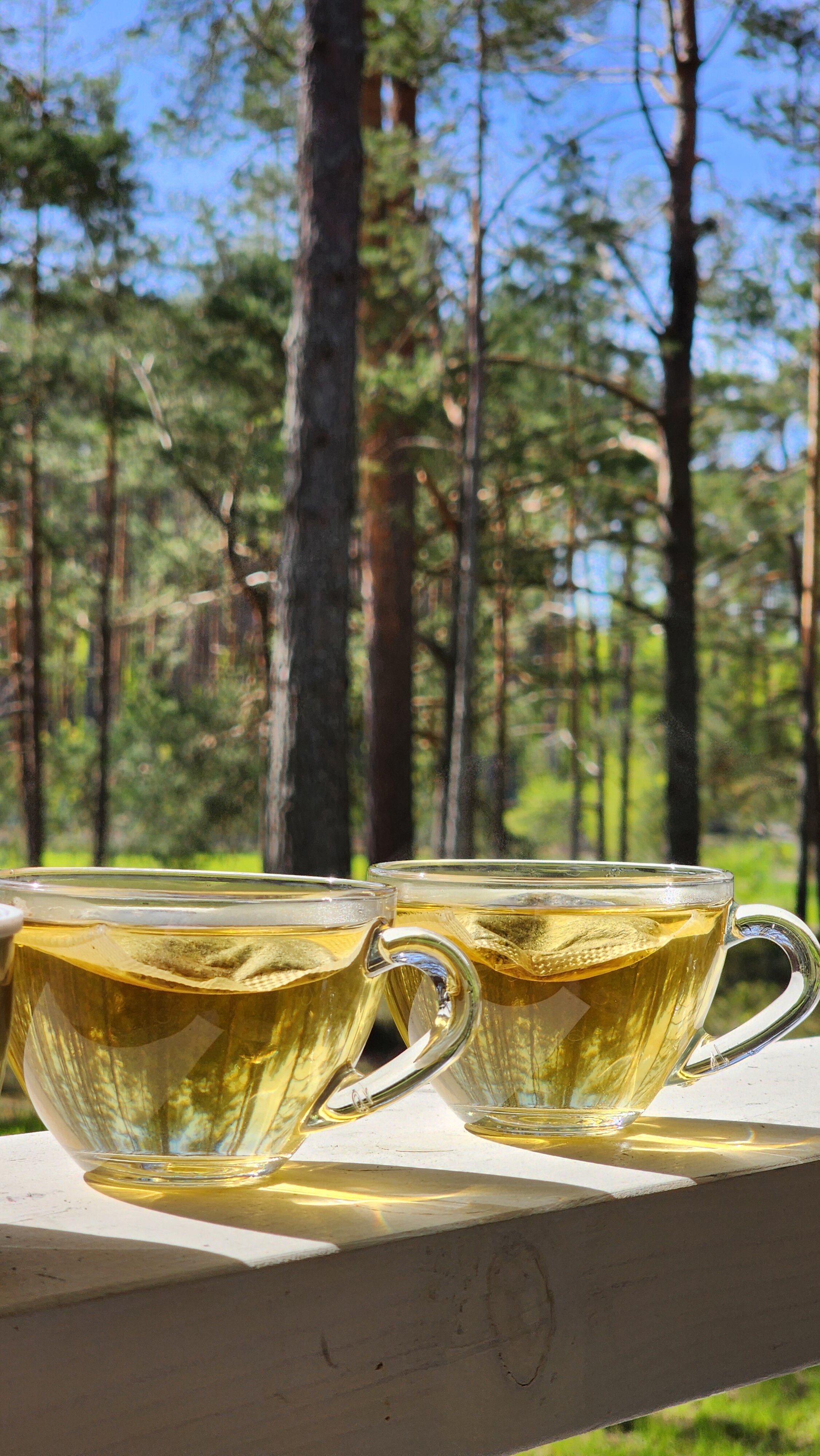 Фото Хуторок