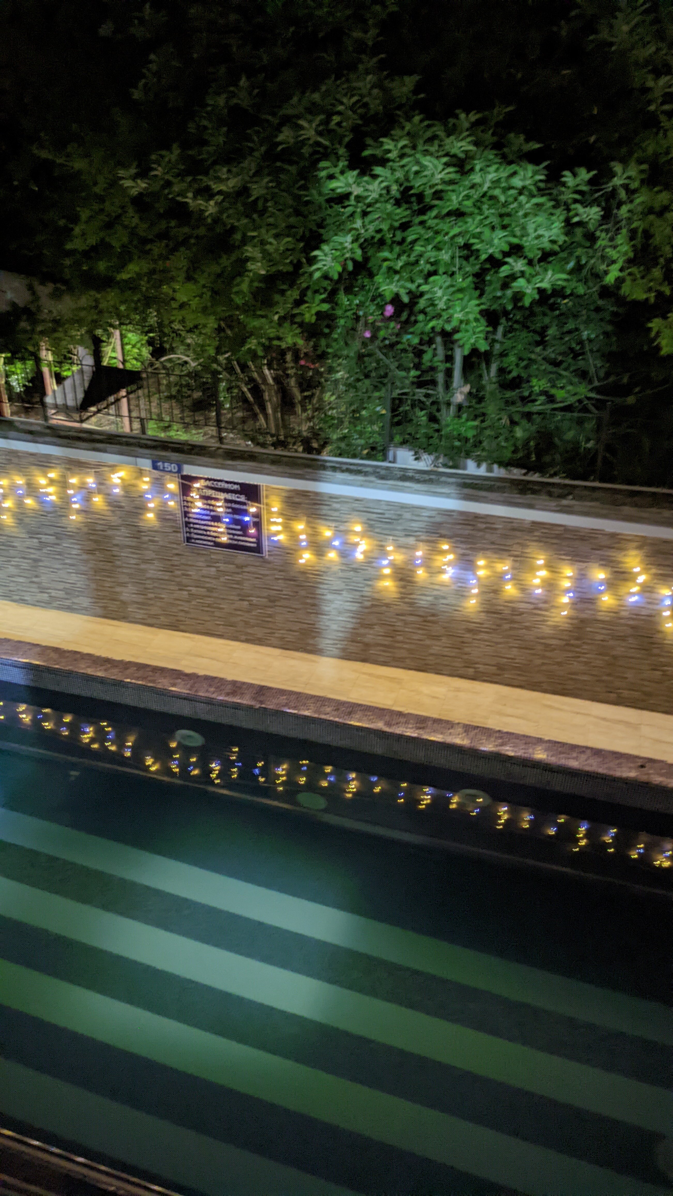 Фото Сириус