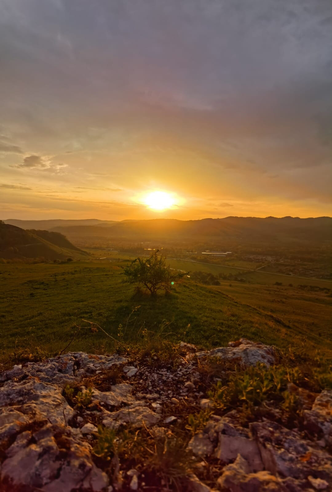 Фото Березки