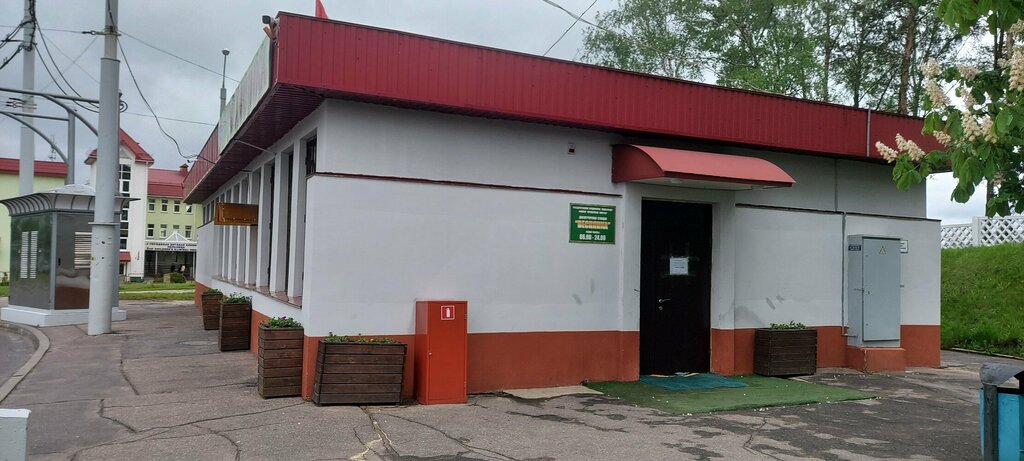 Автовокзал, автостанция Веснянка, Минск, фото