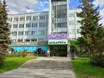 Terem (Michurina Street, 15), dry cleaning
