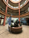 Dusanov Bazar (Mije Petrovića Street, 4), shopping mall