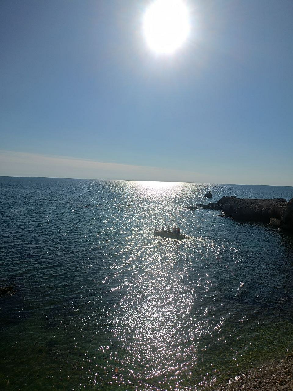 Фото Бамбук