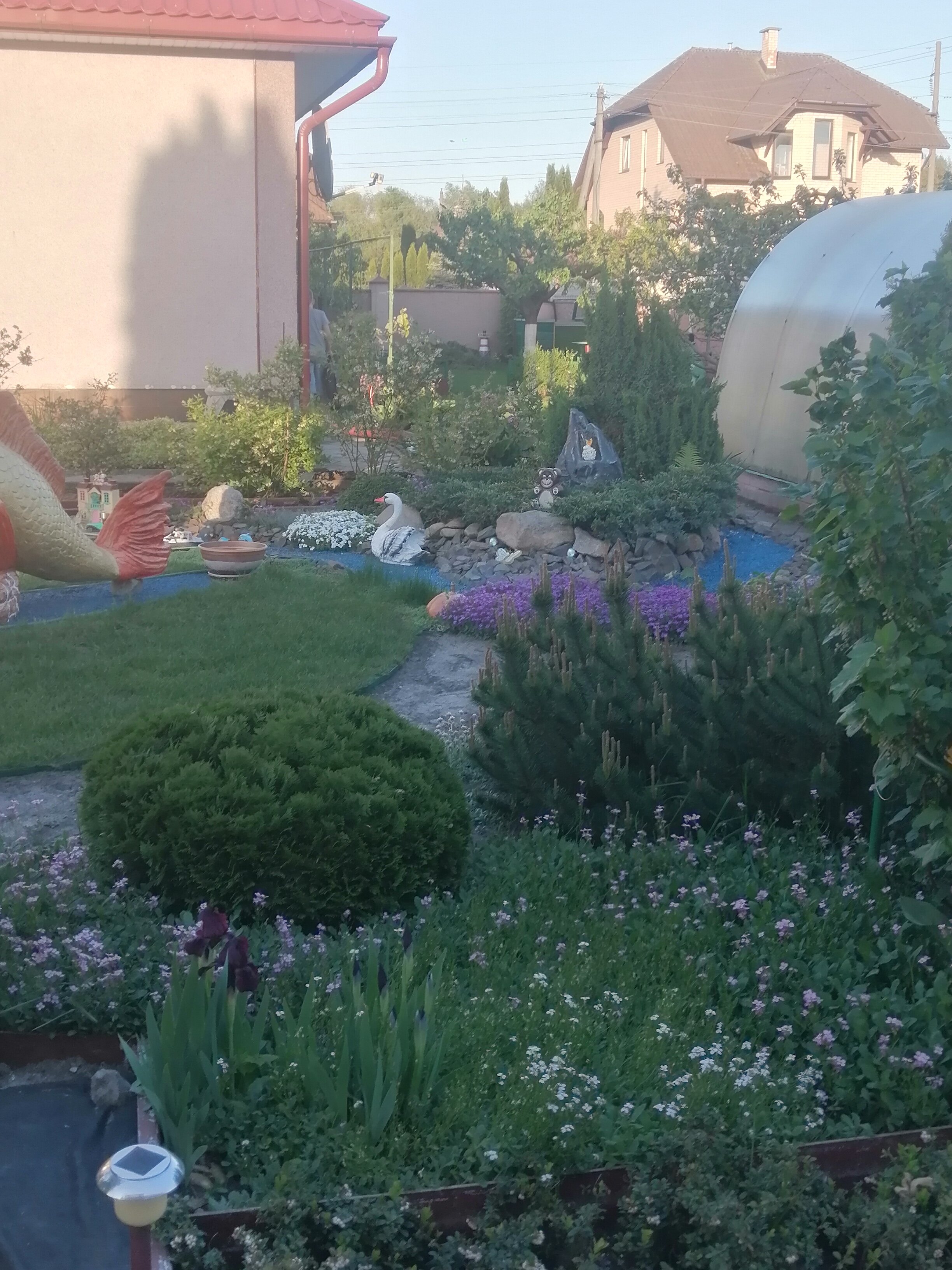 Фото Звезда