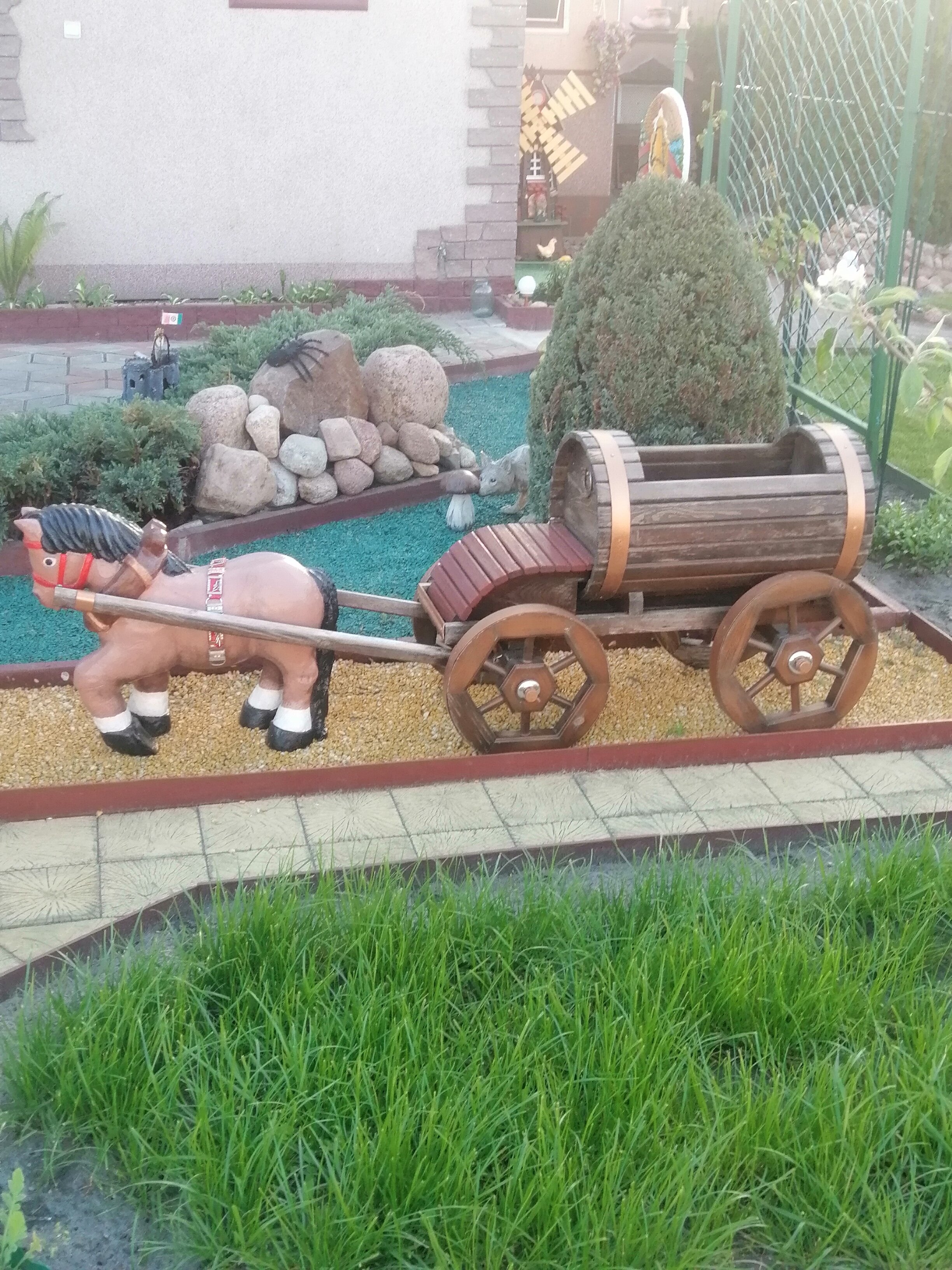 Фото Звезда