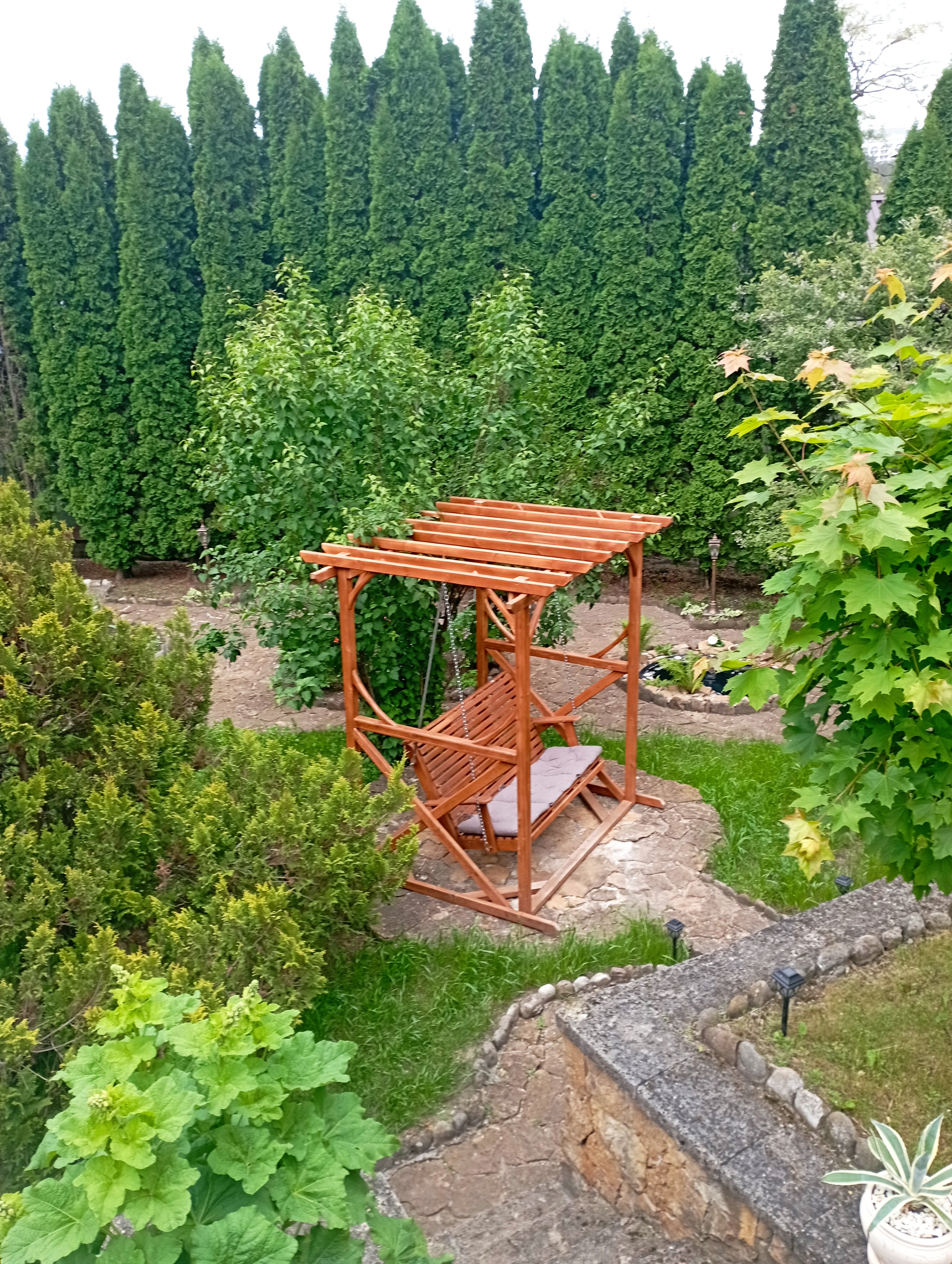 Фото Ласточка