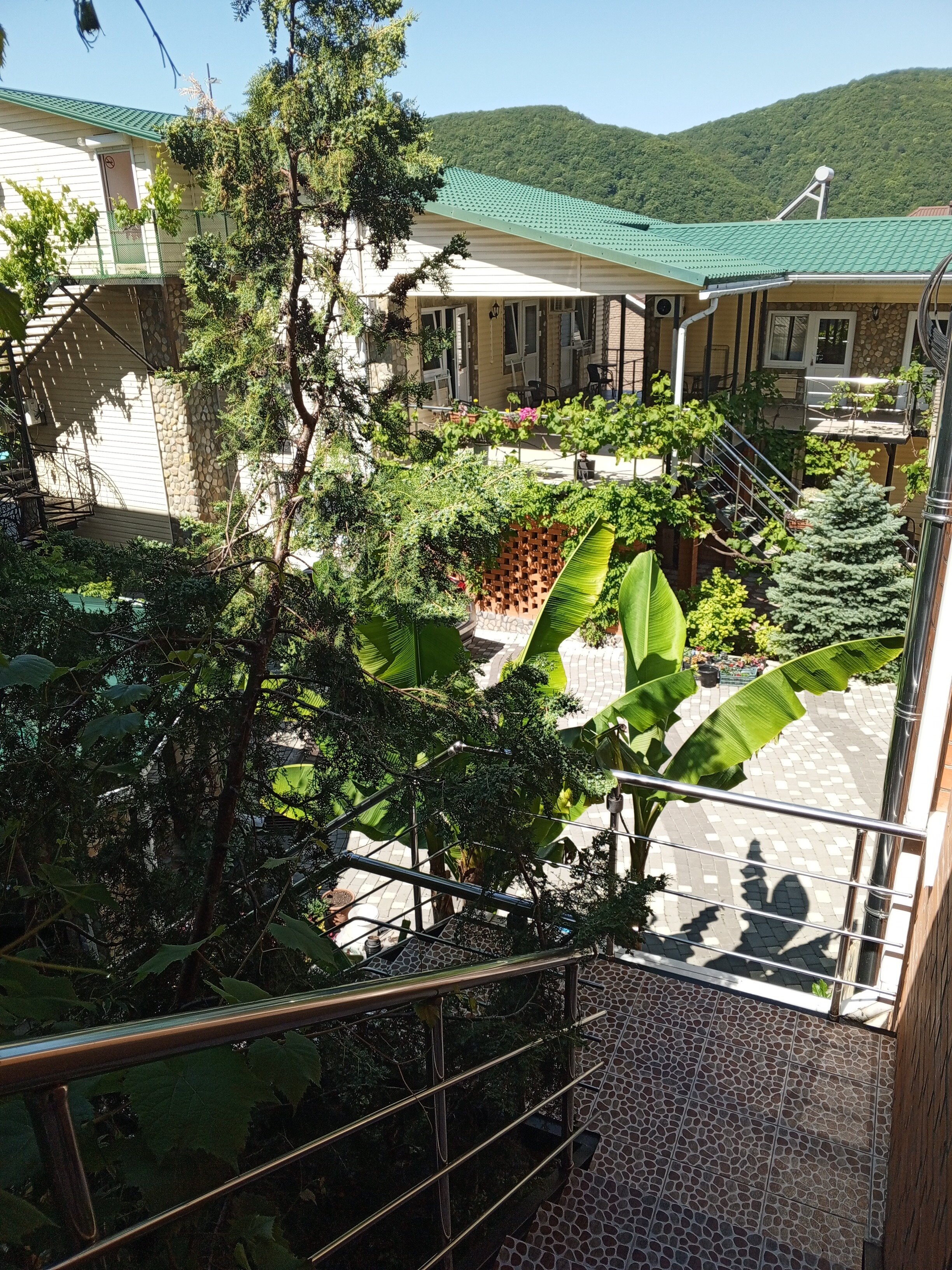 Фото Березы