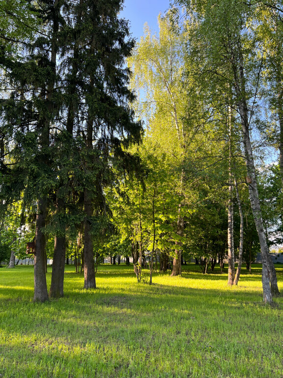 Парк культуры и отдыха Беличий парк, Краснознаменск, фото