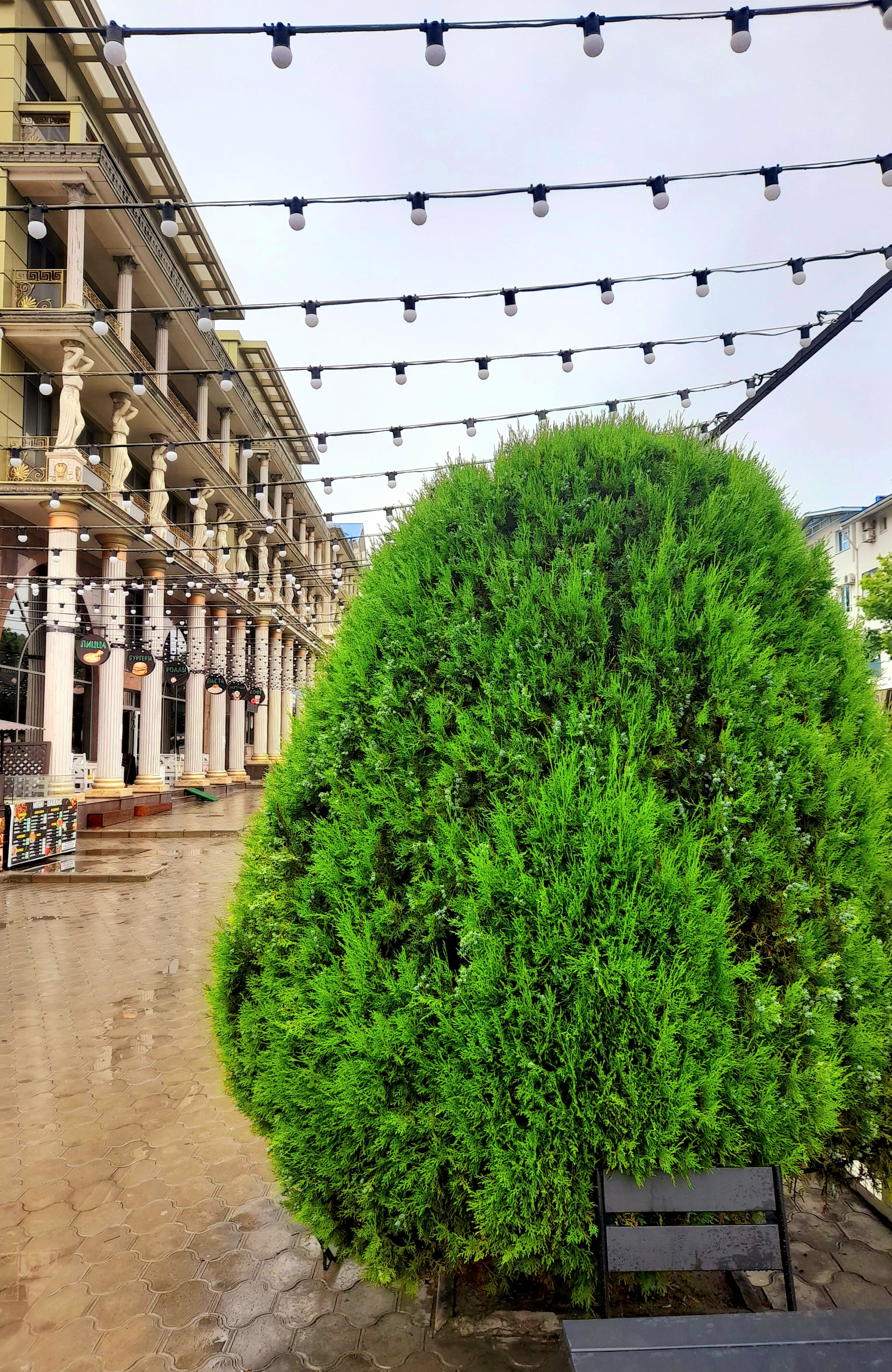 Фото Милана