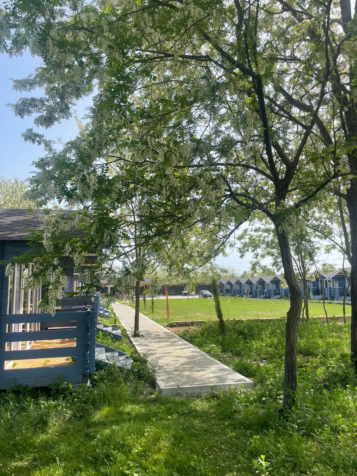 Фото База отдыха Лыхны